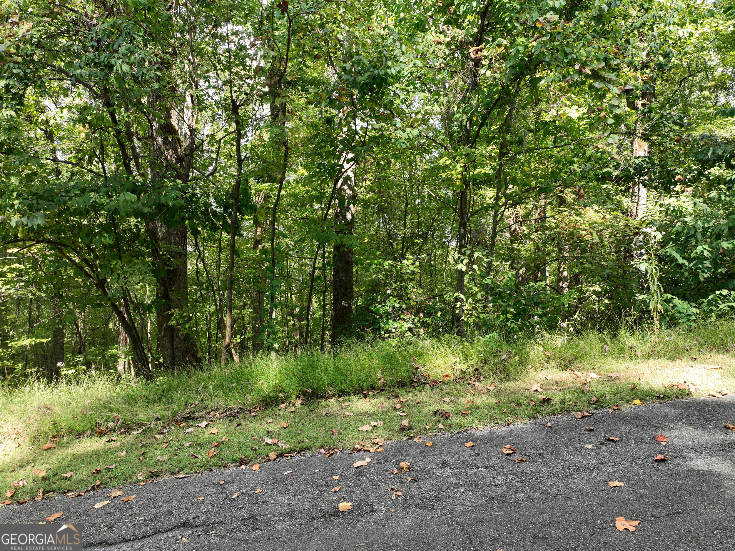 7r Mountain Falls Loop Property Photo 15