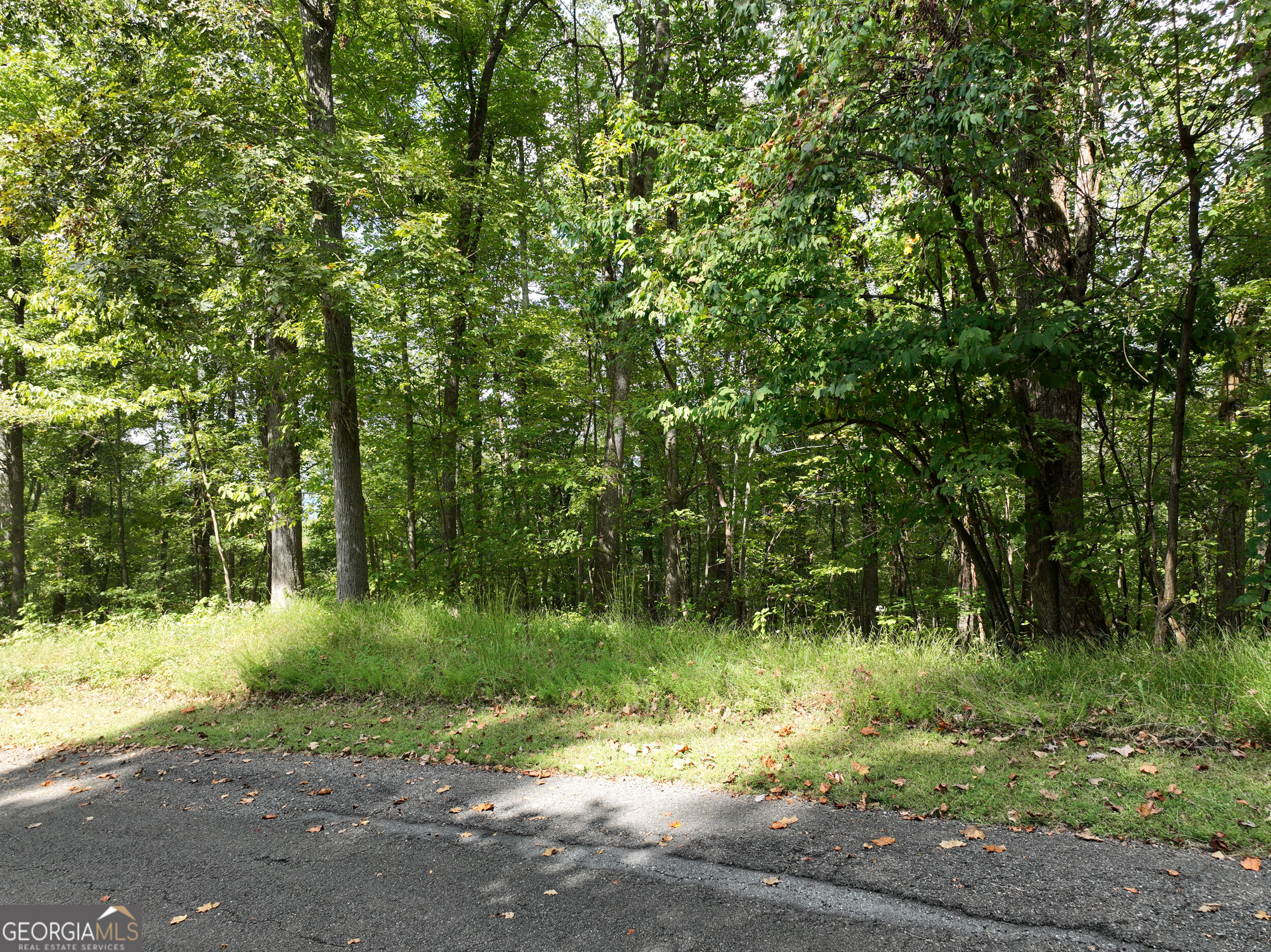 7r Mountain Falls Loop Property Photo 16