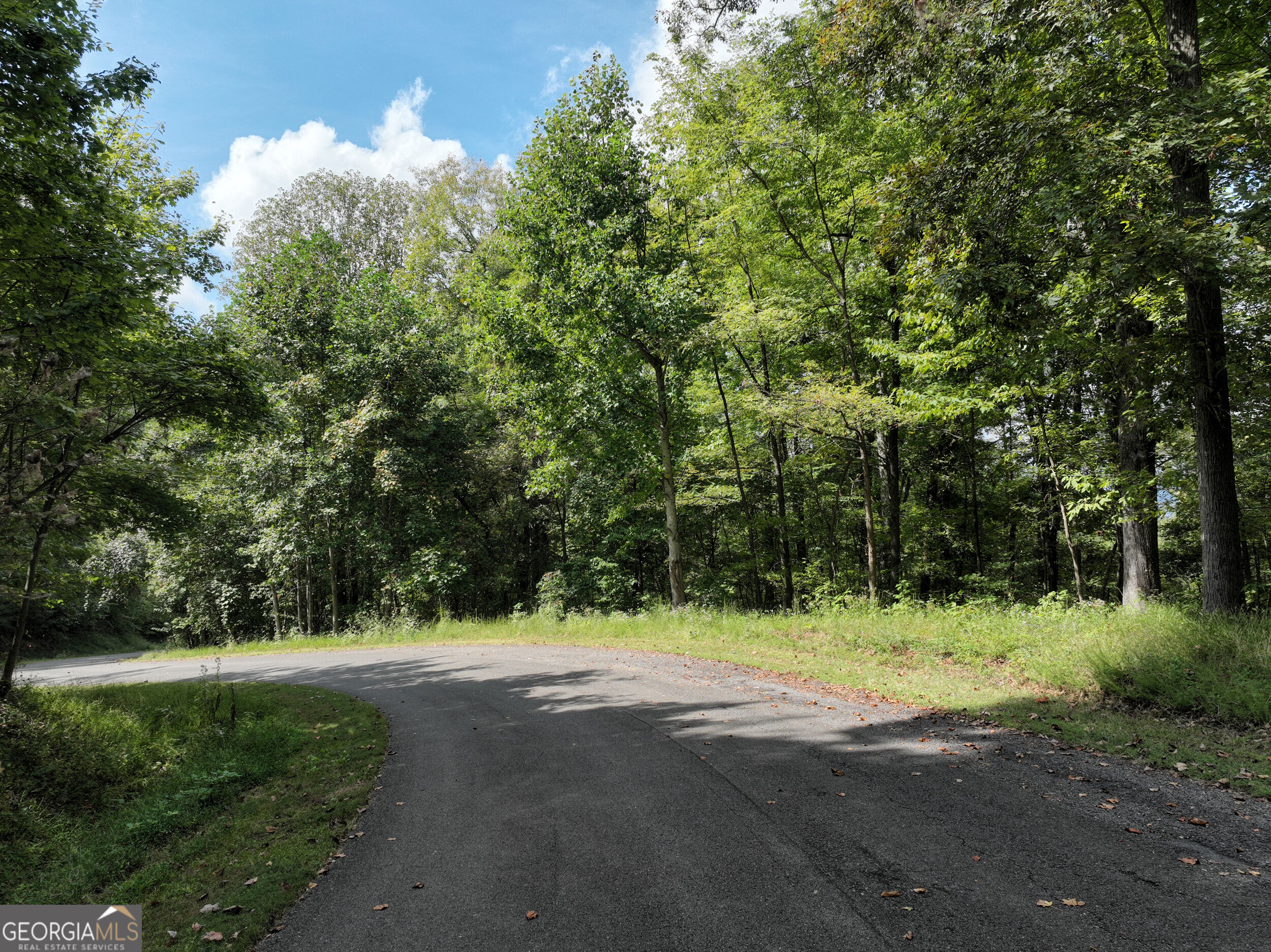 7r Mountain Falls Loop Property Photo 17