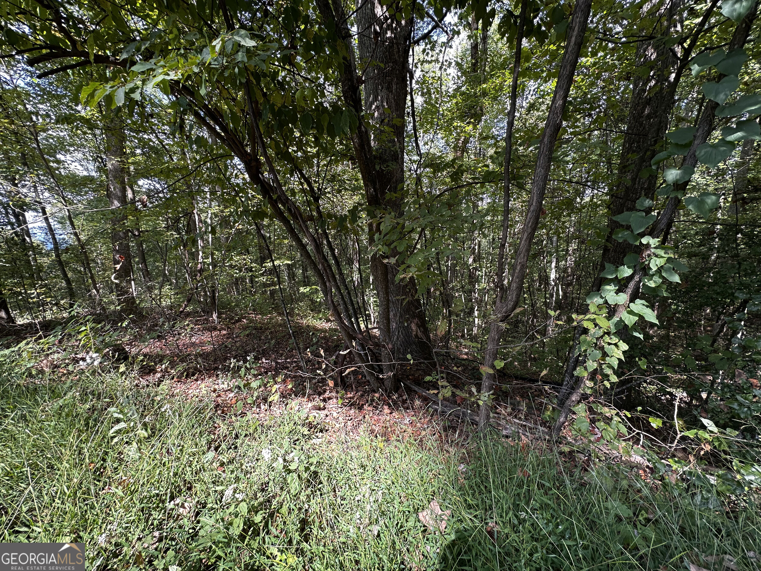7r Mountain Falls Loop Property Photo 18