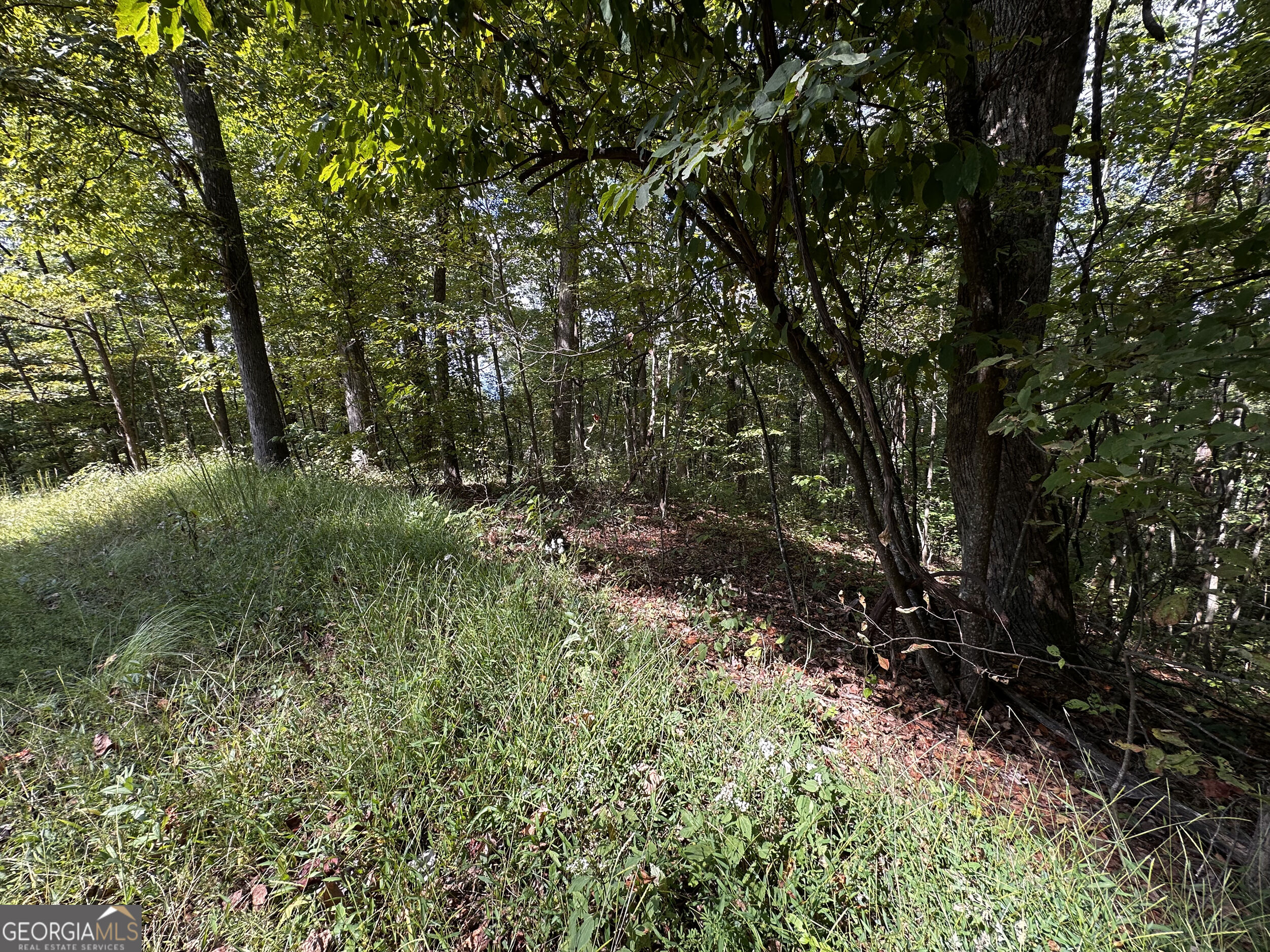 7r Mountain Falls Loop Property Photo 19
