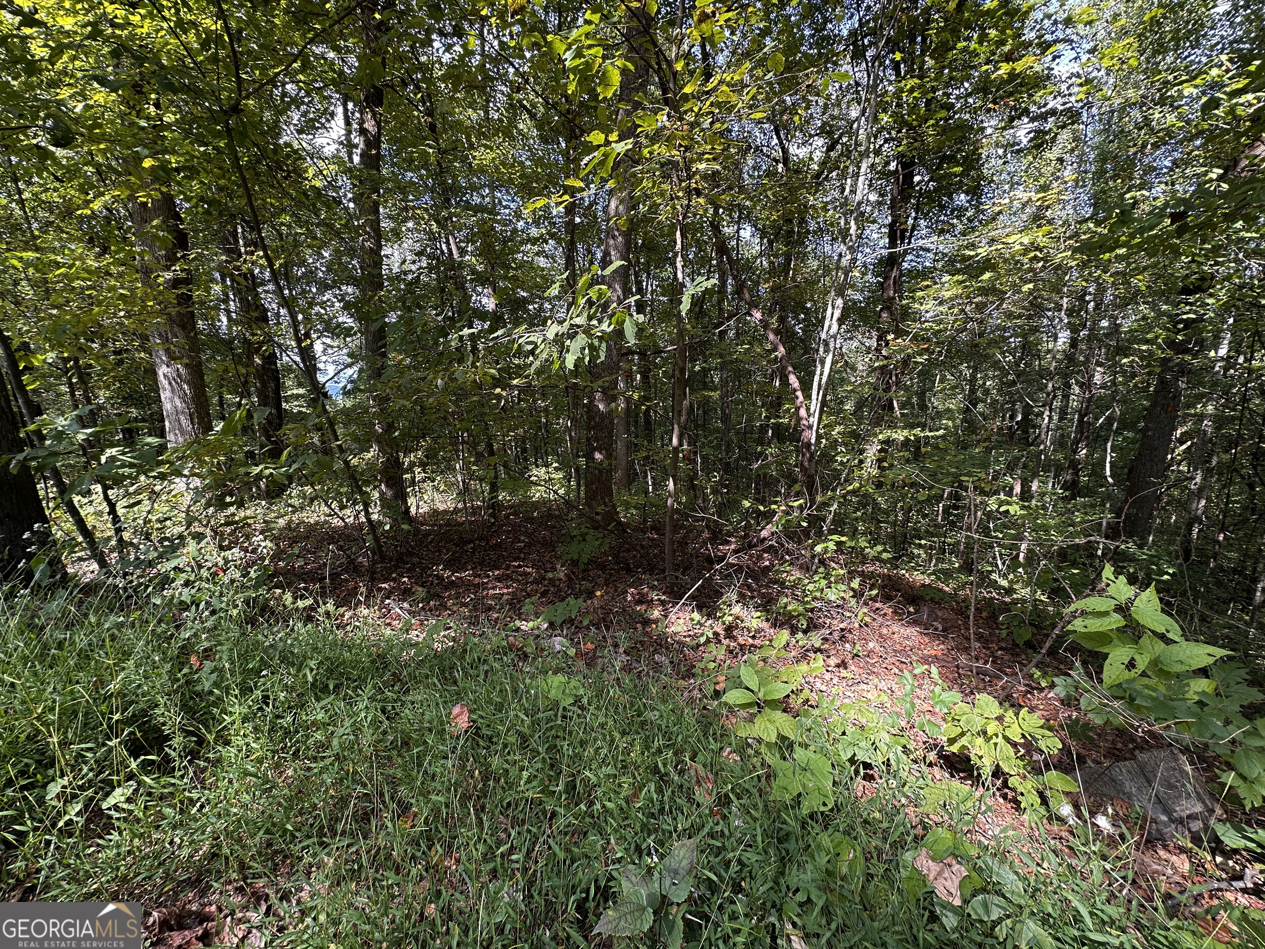 7r Mountain Falls Loop Property Photo 20