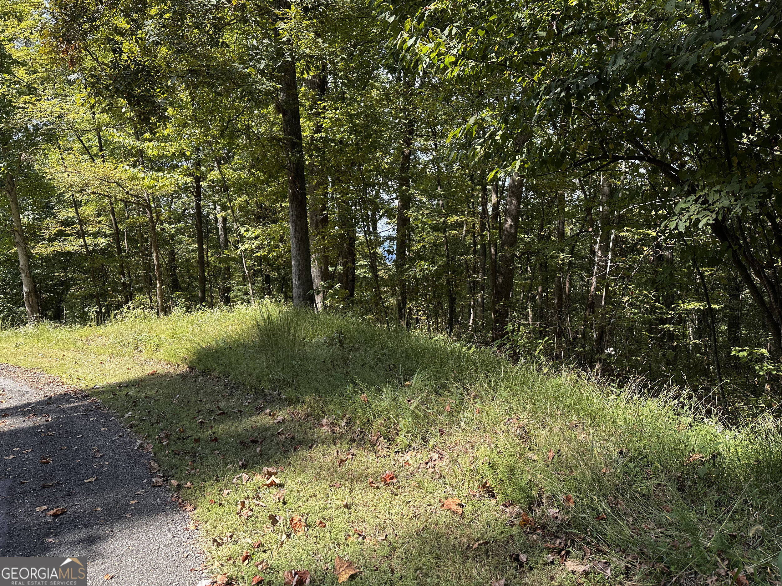 7r Mountain Falls Loop Property Photo 21