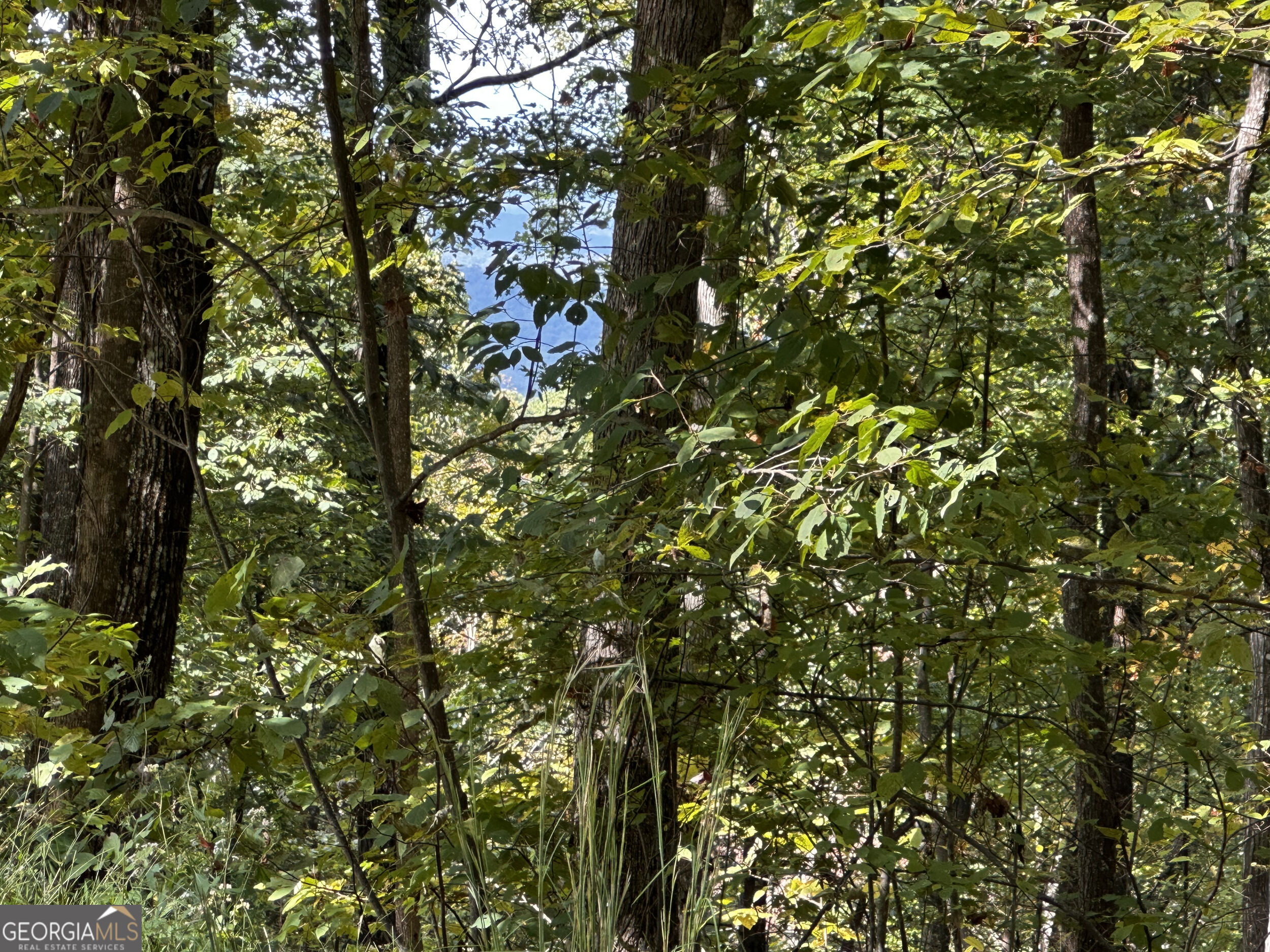 7r Mountain Falls Loop Property Photo 22