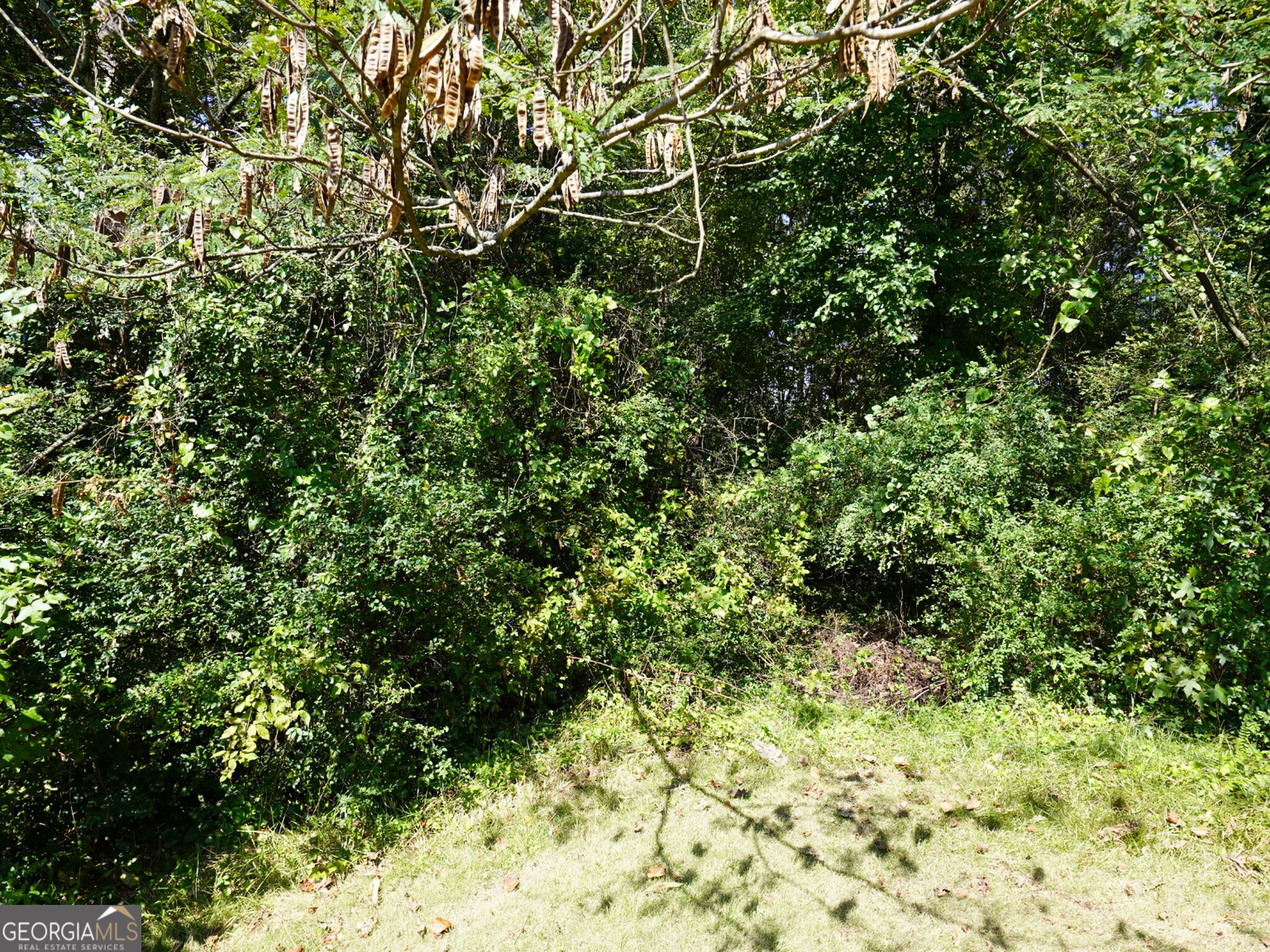 4.99 Acres Tye St Property Photo 10