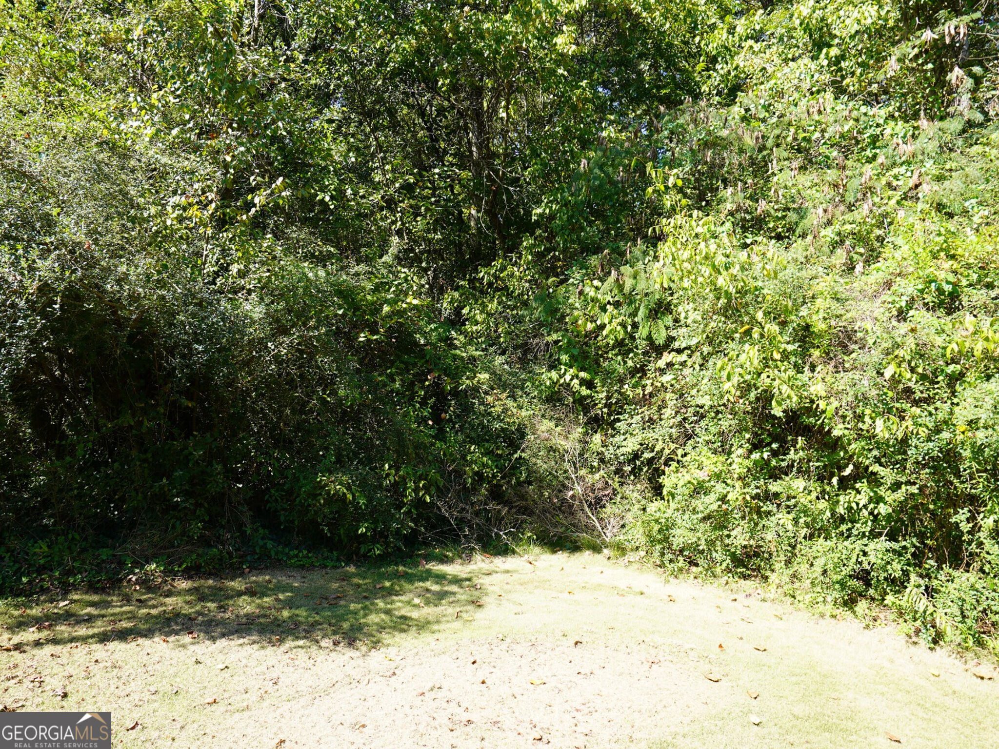 4.99 Acres Tye St Property Photo 12