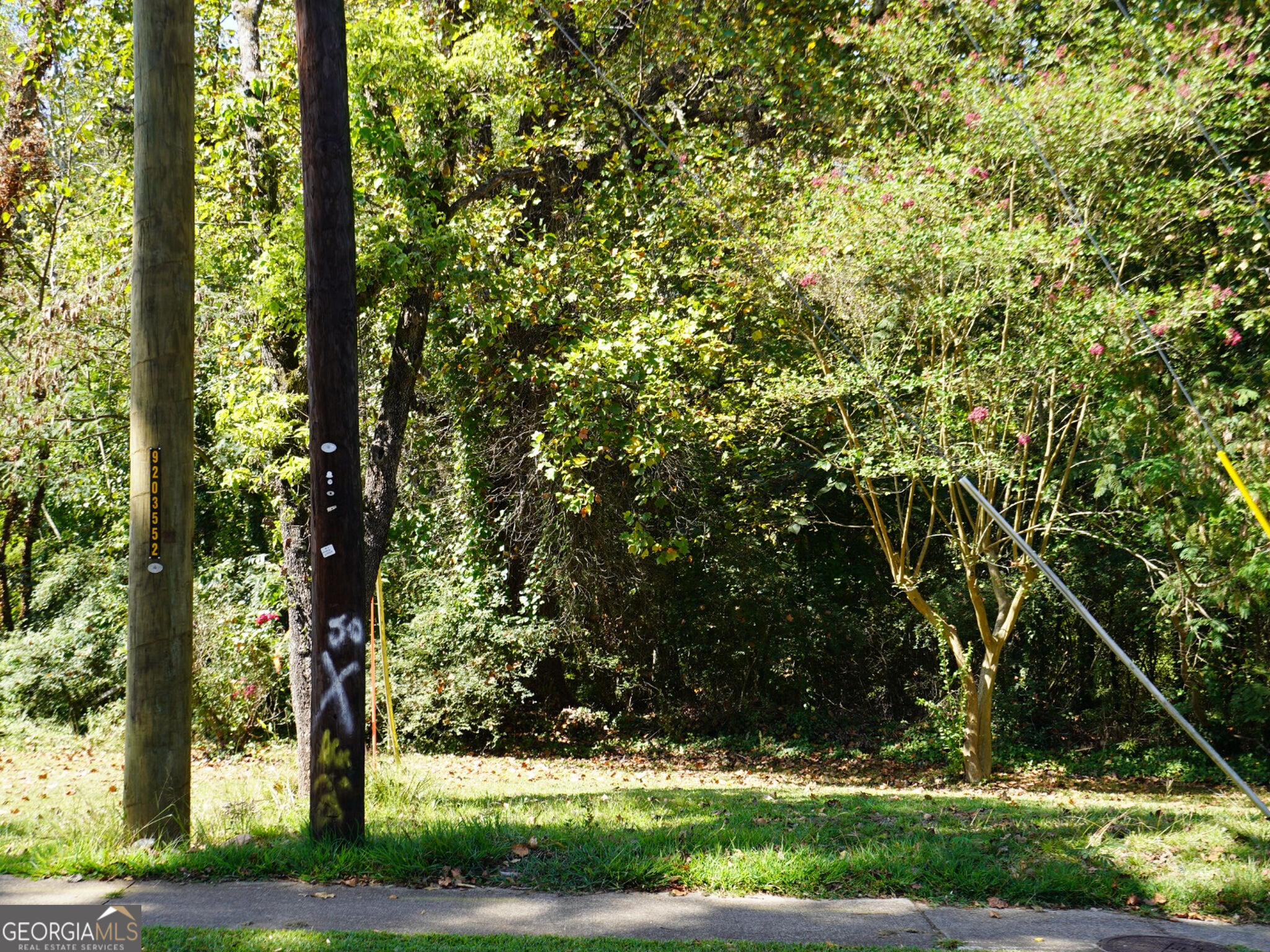 4.99 Acres Tye St Property Photo 13