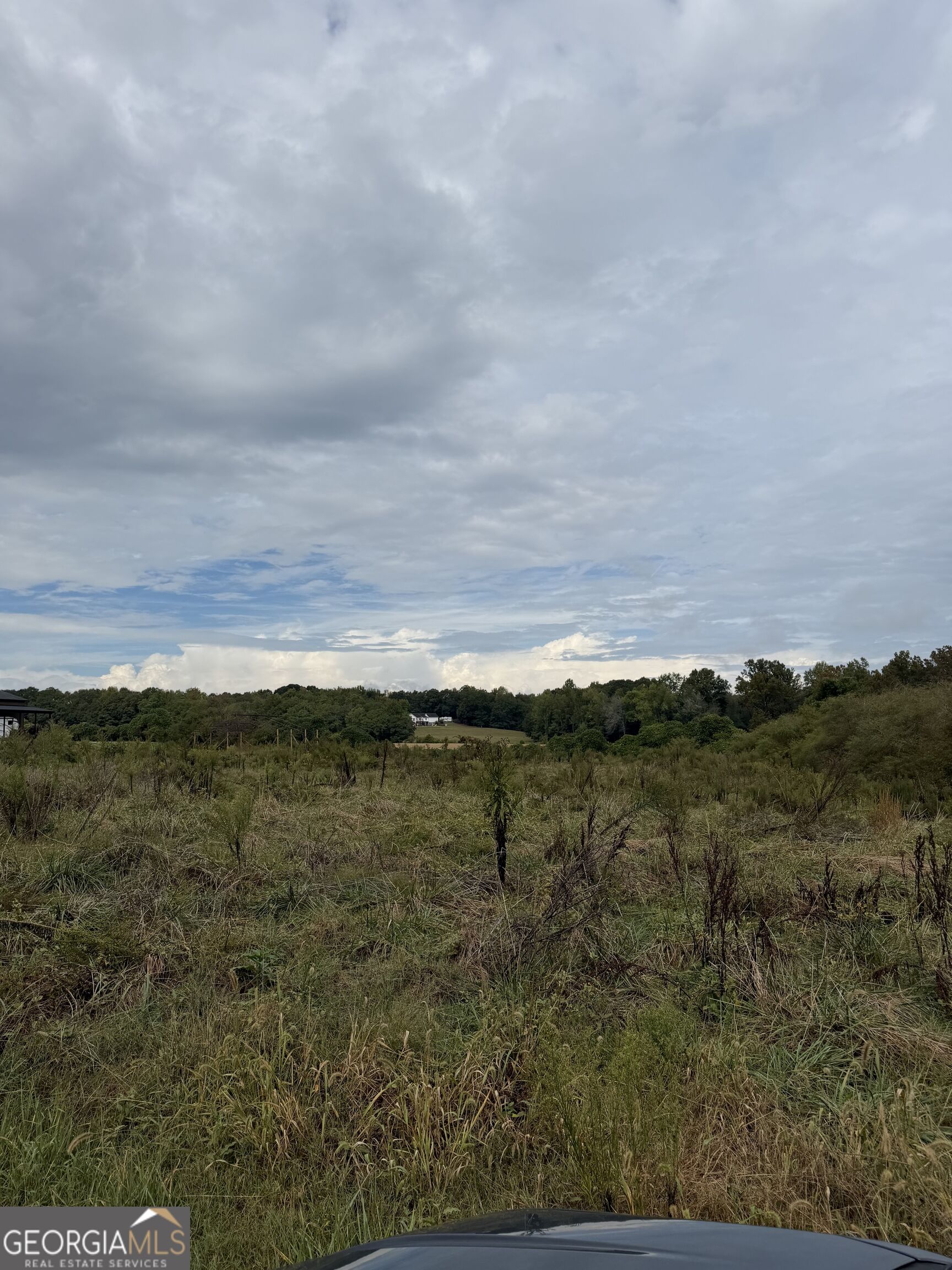 191 W L Williams Road Property Photo 3