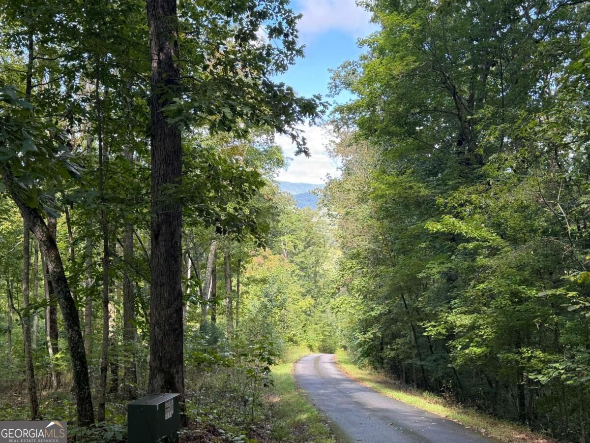 LOT 33 Falcon Overlook