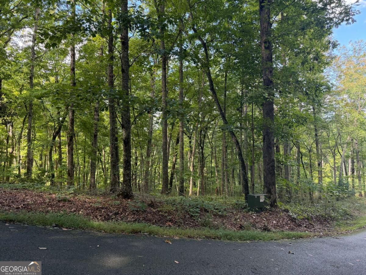 Lot 33 Falcon Overlook Property Photo 2