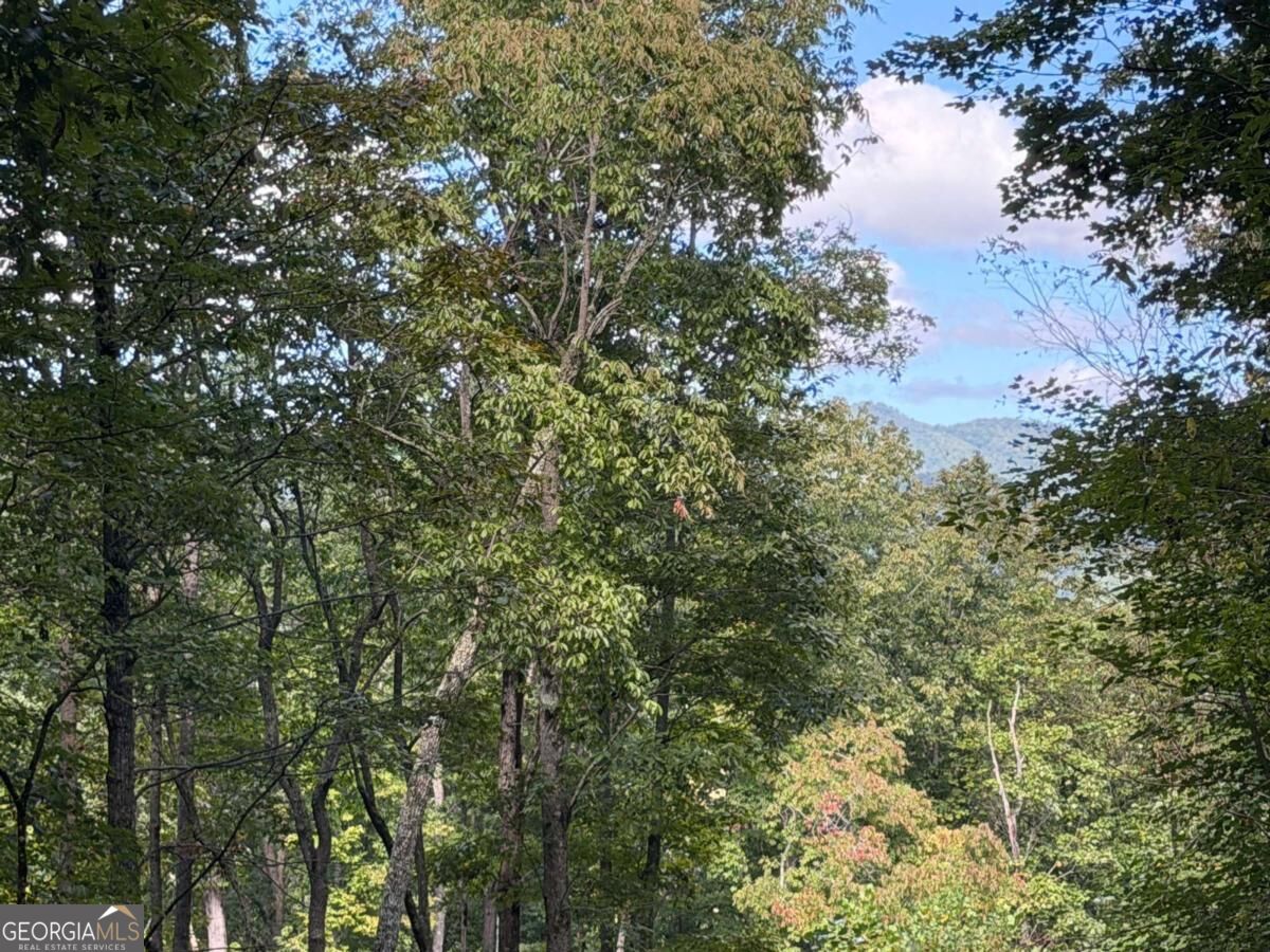 Lot 33 Falcon Overlook Property Photo 4