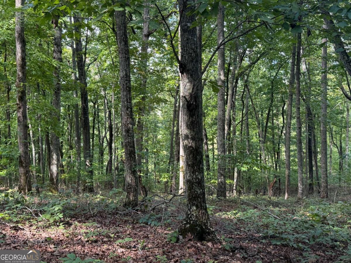 Lot 33 Falcon Overlook Property Photo 7