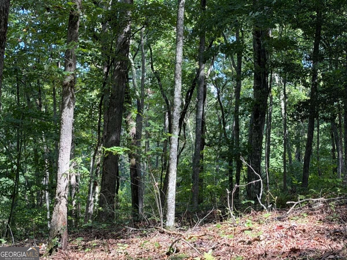 Lot 33 Falcon Overlook Property Photo 9