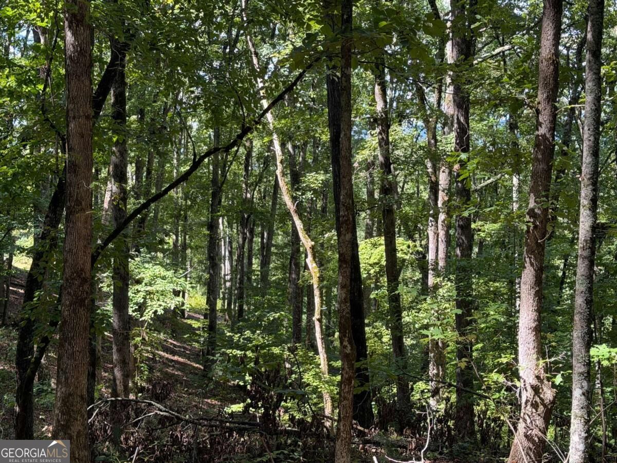 Lot 33 Falcon Overlook Property Photo 11