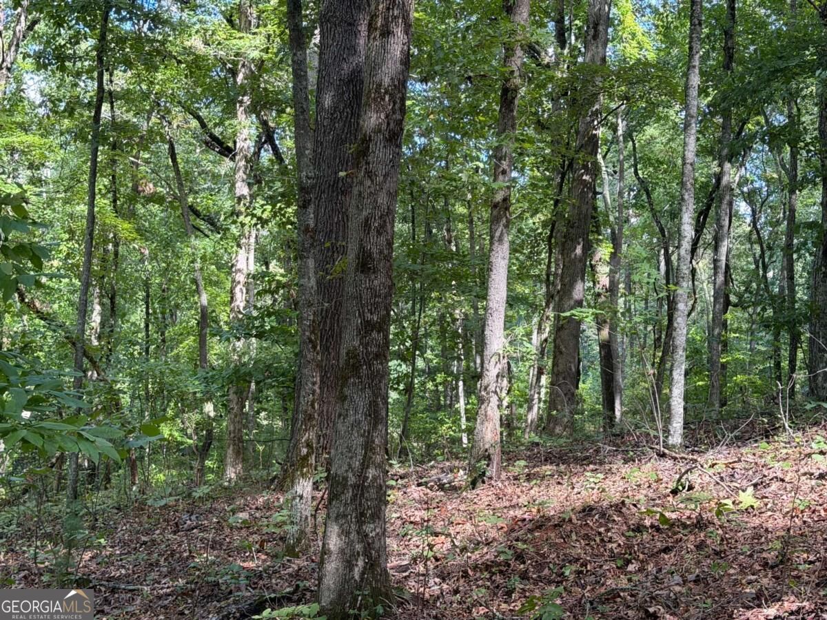 Lot 33 Falcon Overlook Property Photo 13