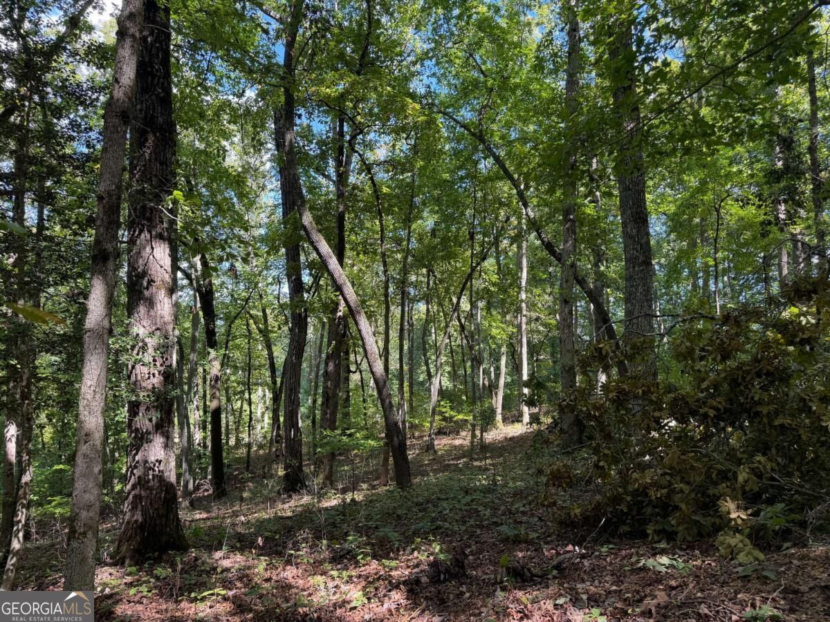 Lot 33 Falcon Overlook Property Photo 17