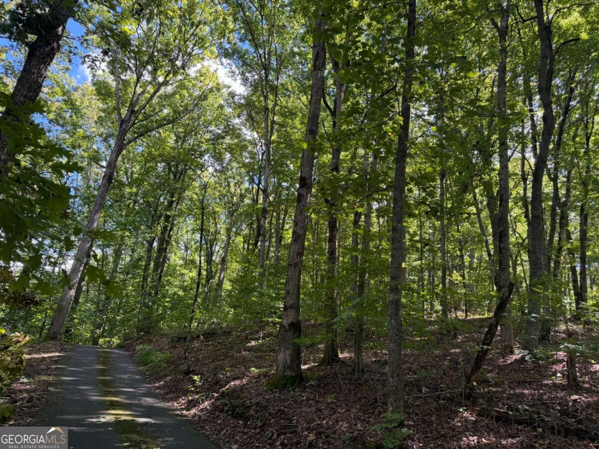Lot 33 Falcon Overlook Property Photo 20