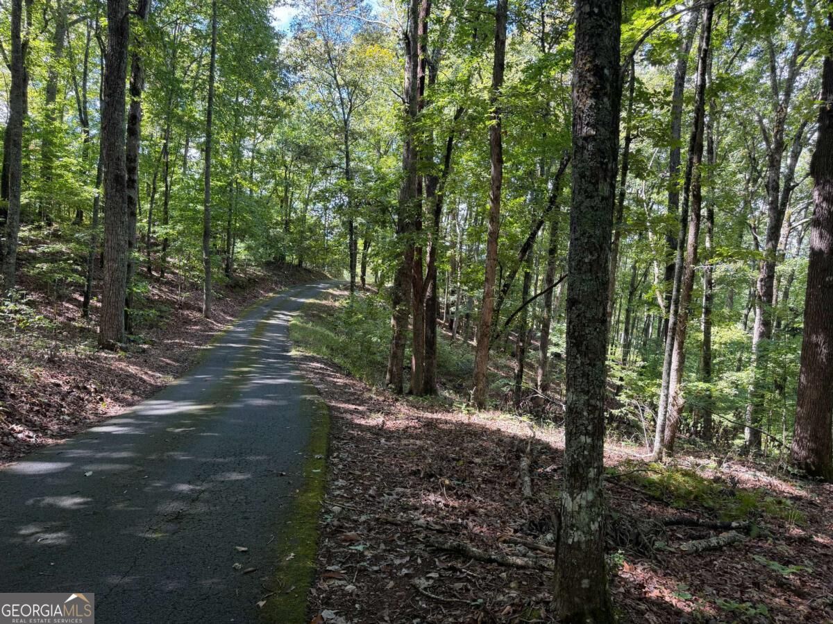 Lot 33 Falcon Overlook Property Photo 21