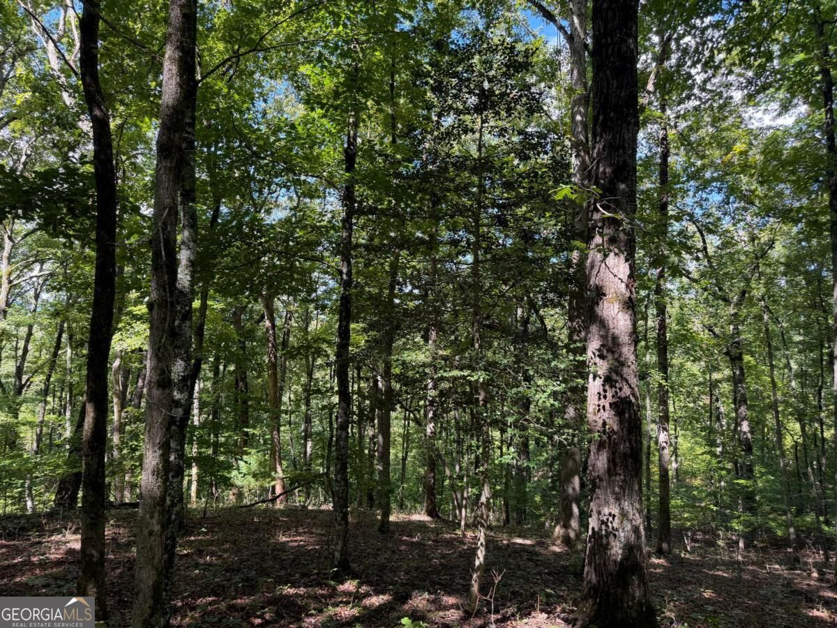 Lot 33 Falcon Overlook Property Photo 22