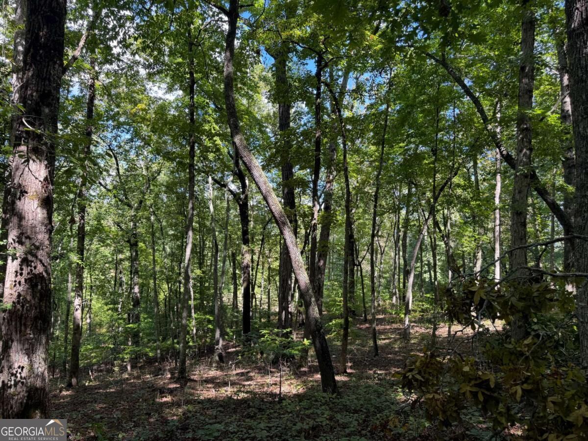Lot 33 Falcon Overlook Property Photo 23