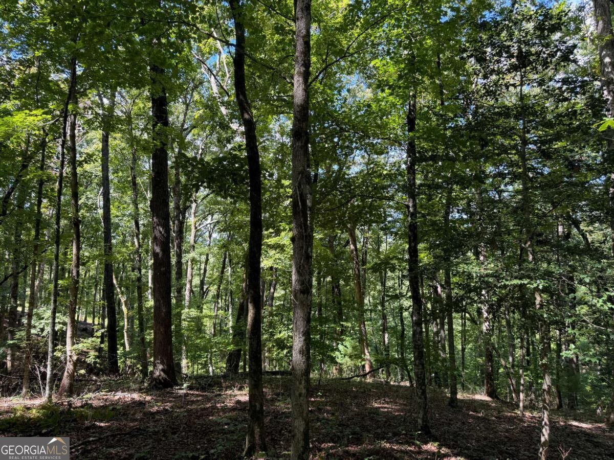 Lot 33 Falcon Overlook Property Photo 25