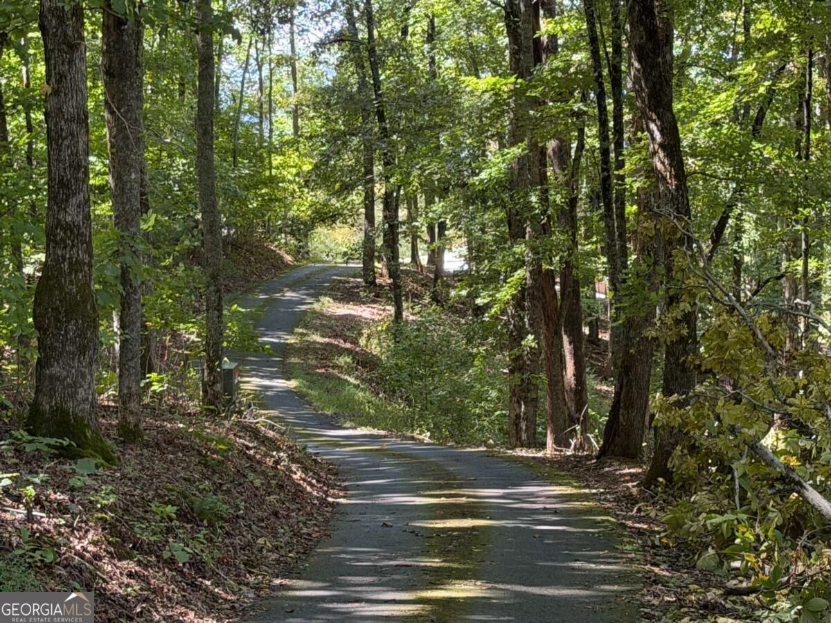 Lot 33 Falcon Overlook Property Photo 26