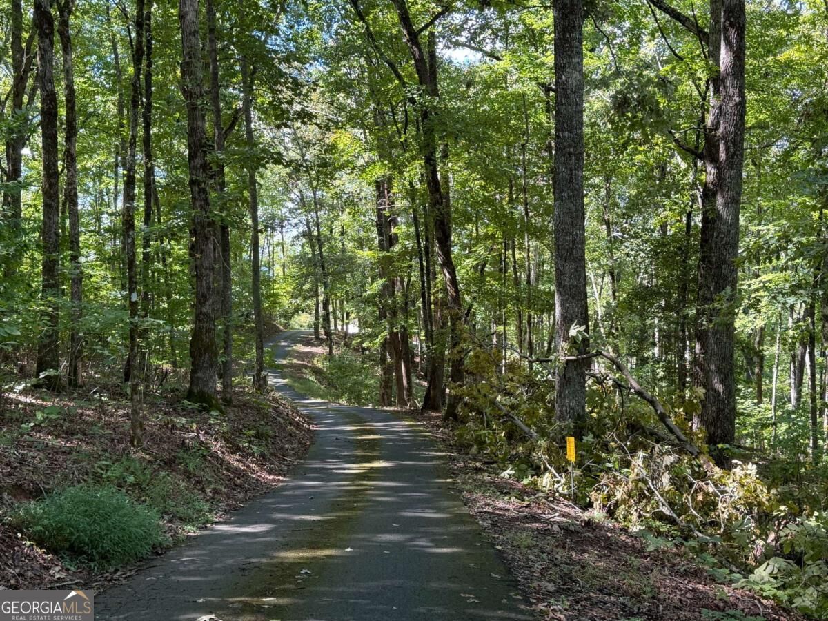Lot 33 Falcon Overlook Property Photo 27