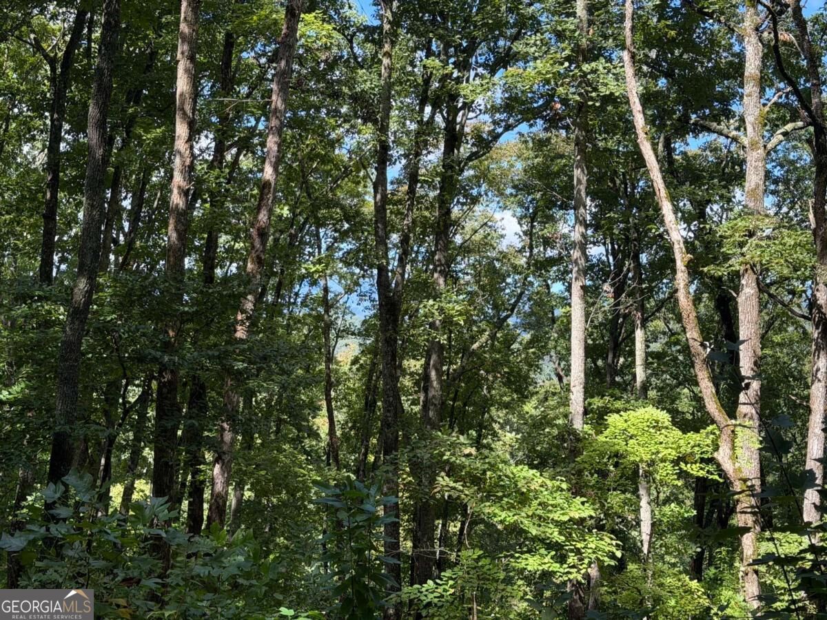 Lot 33 Falcon Overlook Property Photo 29