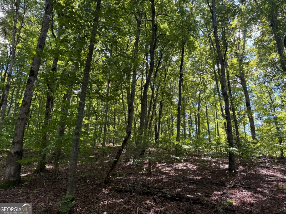 Lot 33 Falcon Overlook Property Photo 34