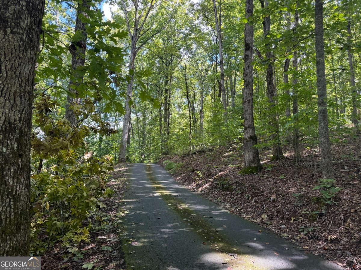 Lot 33 Falcon Overlook Property Photo 37