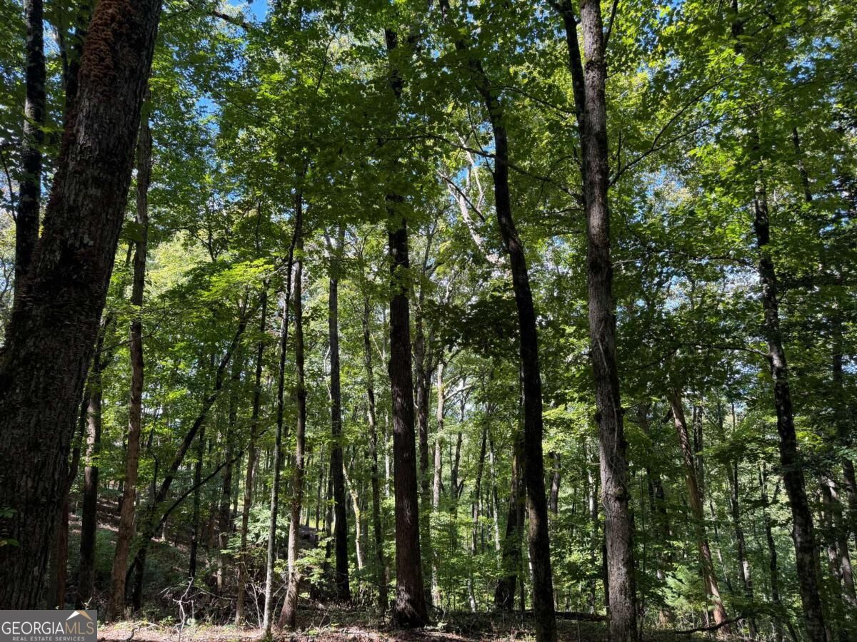Lot 33 Falcon Overlook Property Photo 39