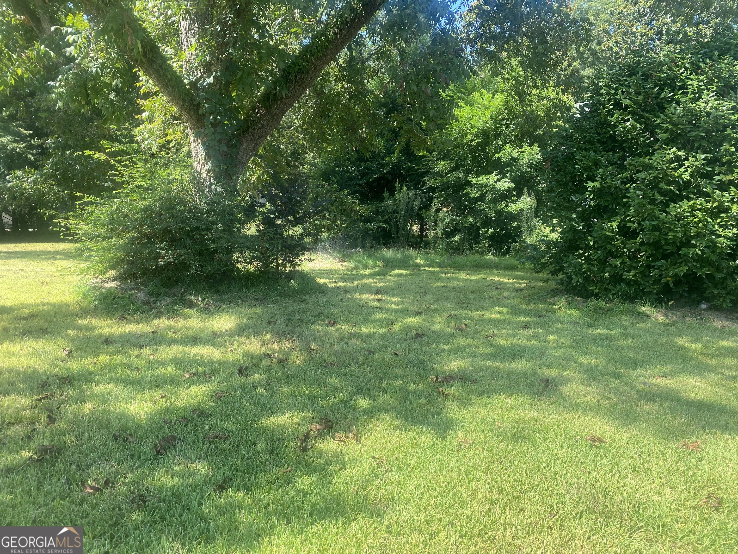 1016 Nicholson Property Photo 11
