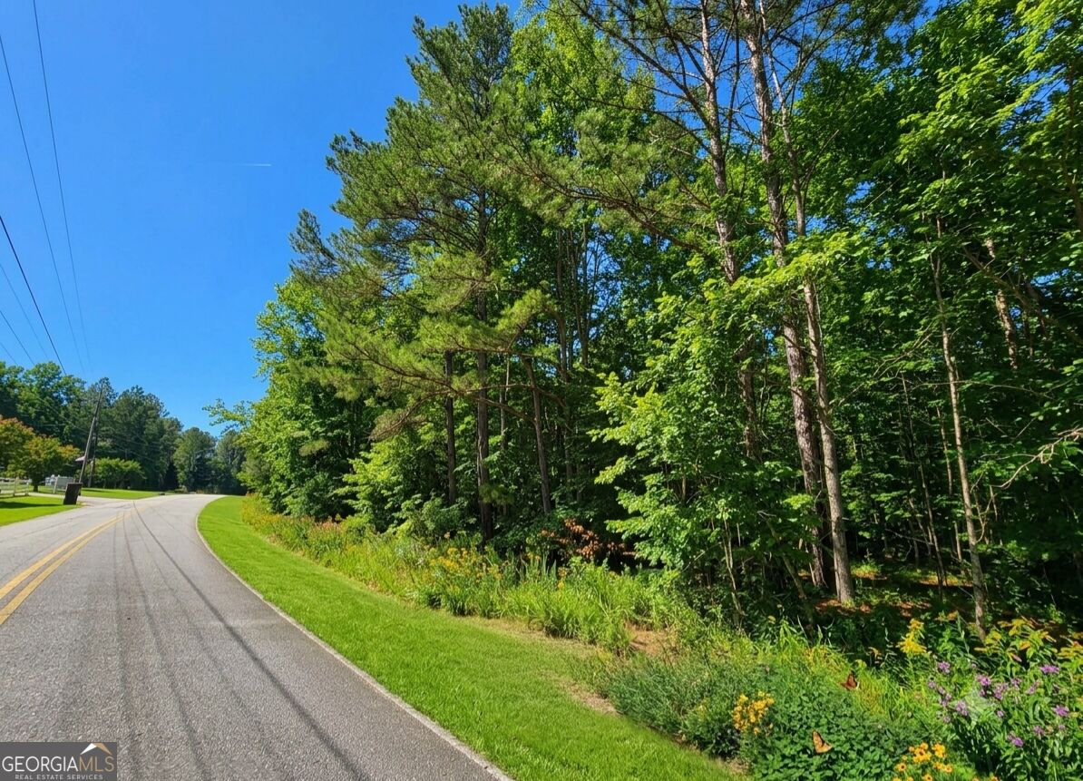0 River Shoals Ct Property Photo 1