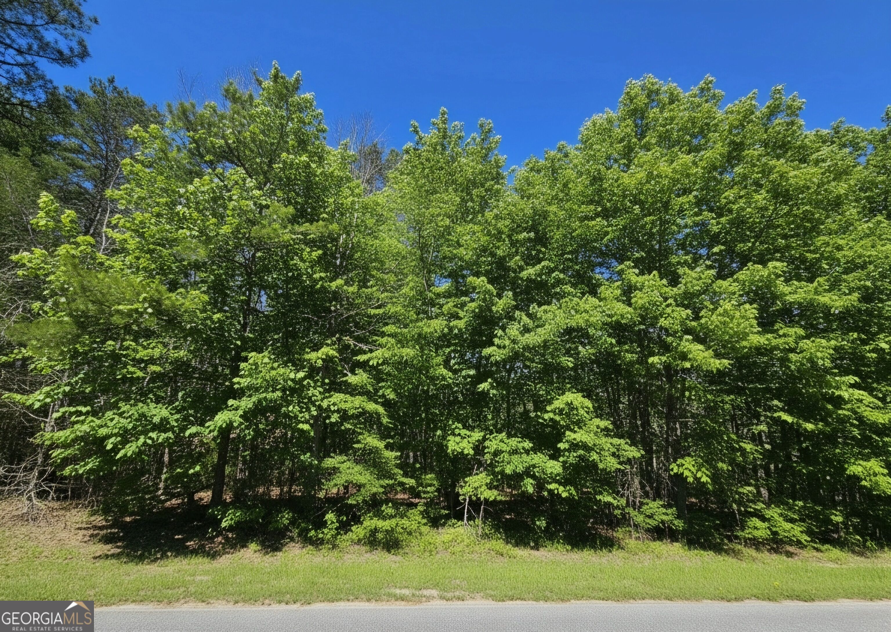 0 River Shoals Ct Property Photo 2