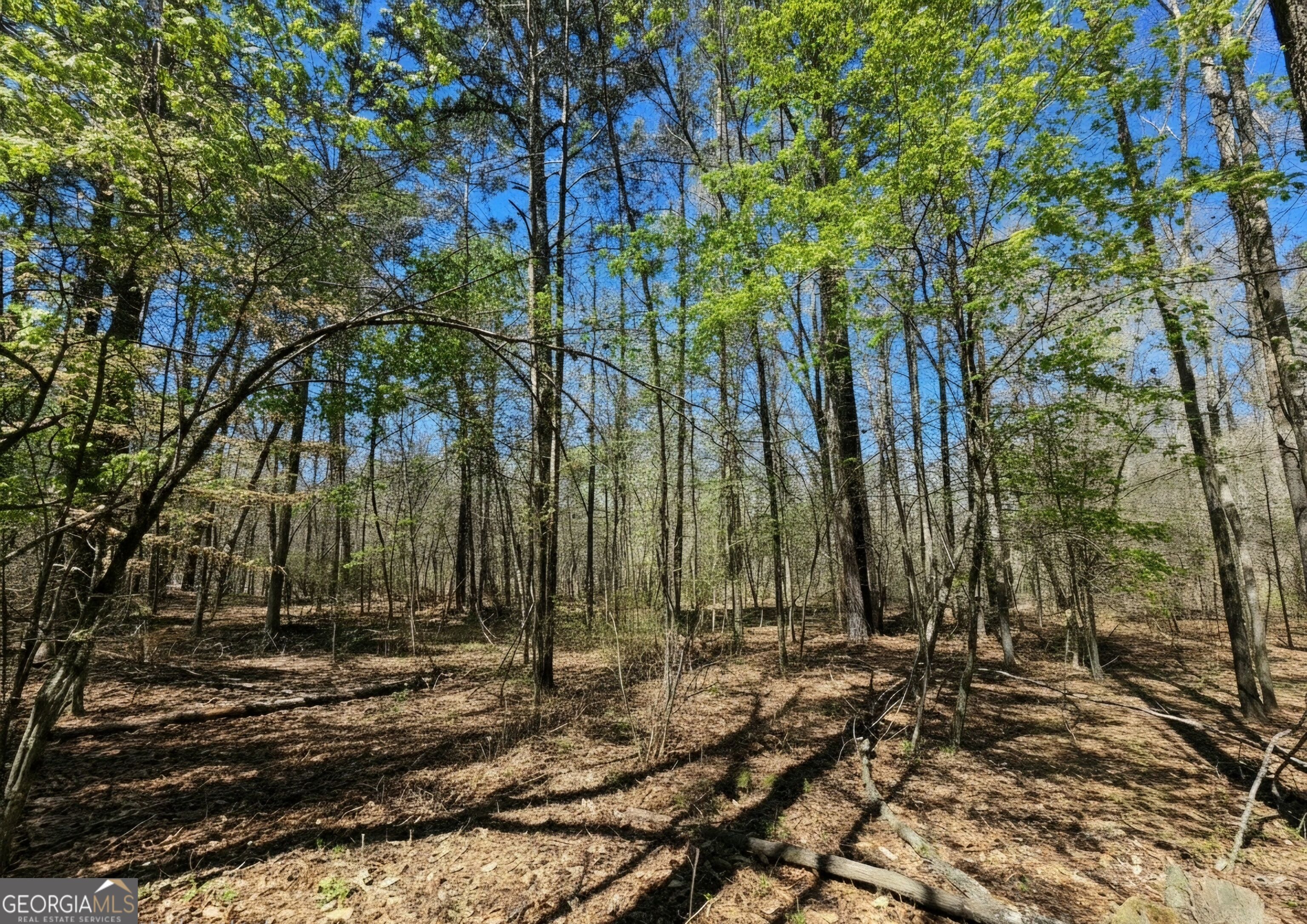 0 River Shoals Ct Property Photo 4