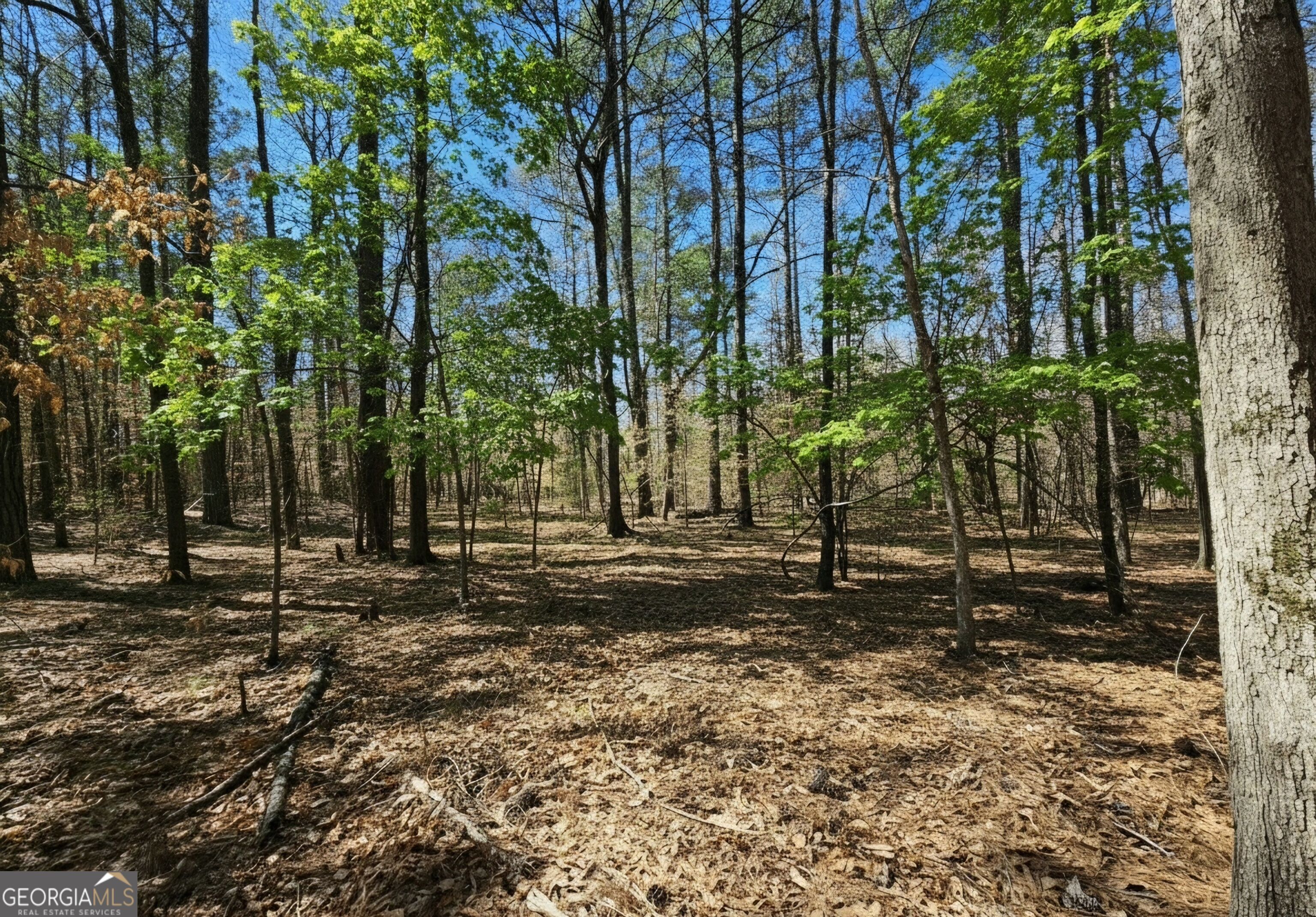 0 River Shoals Ct Property Photo 6