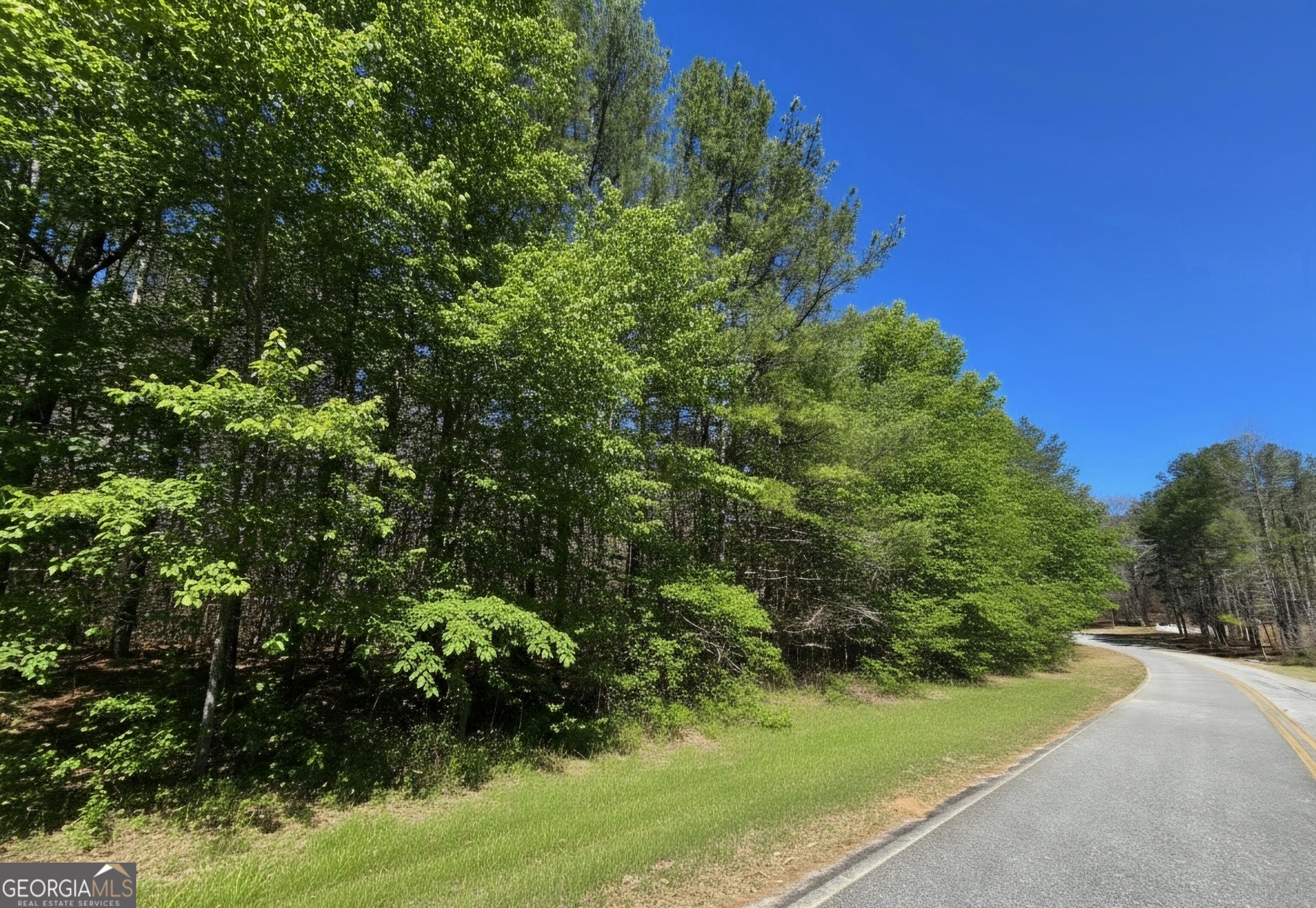 0 River Shoals Ct Property Photo 7