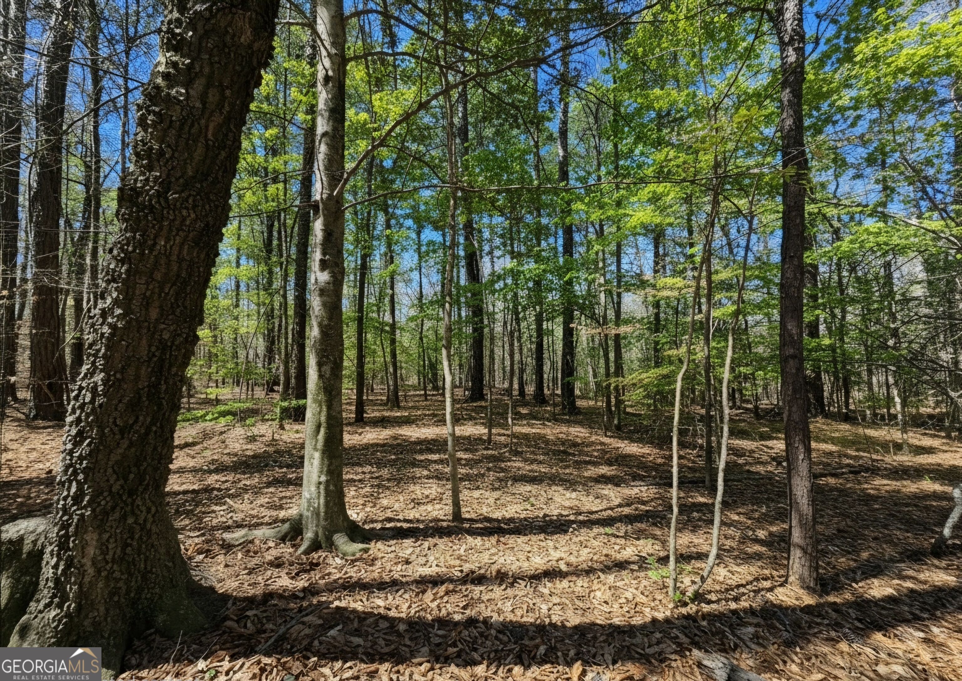 0 River Shoals Ct Property Photo 8