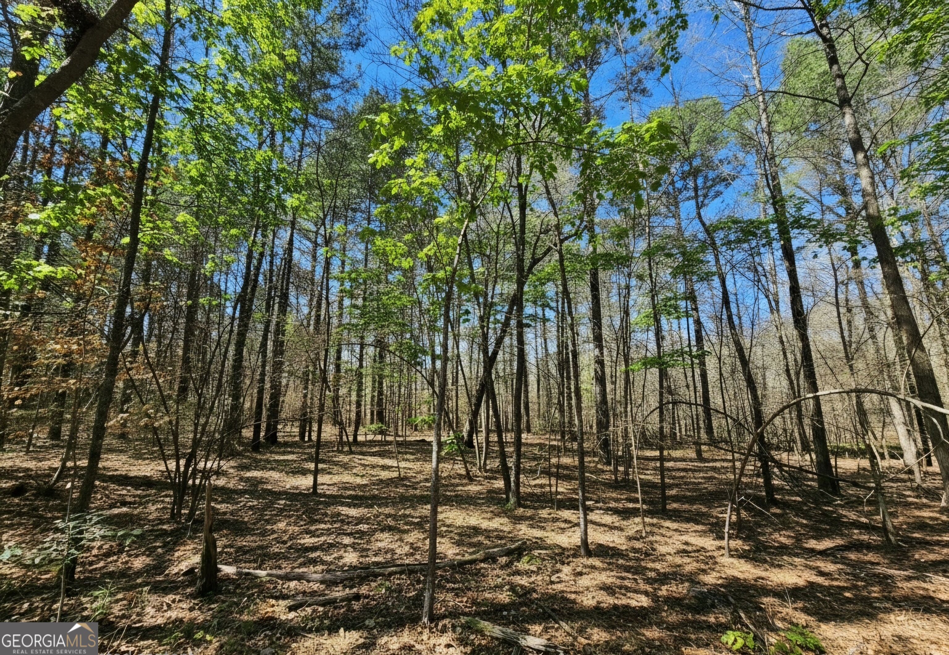 0 River Shoals Ct Property Photo 9