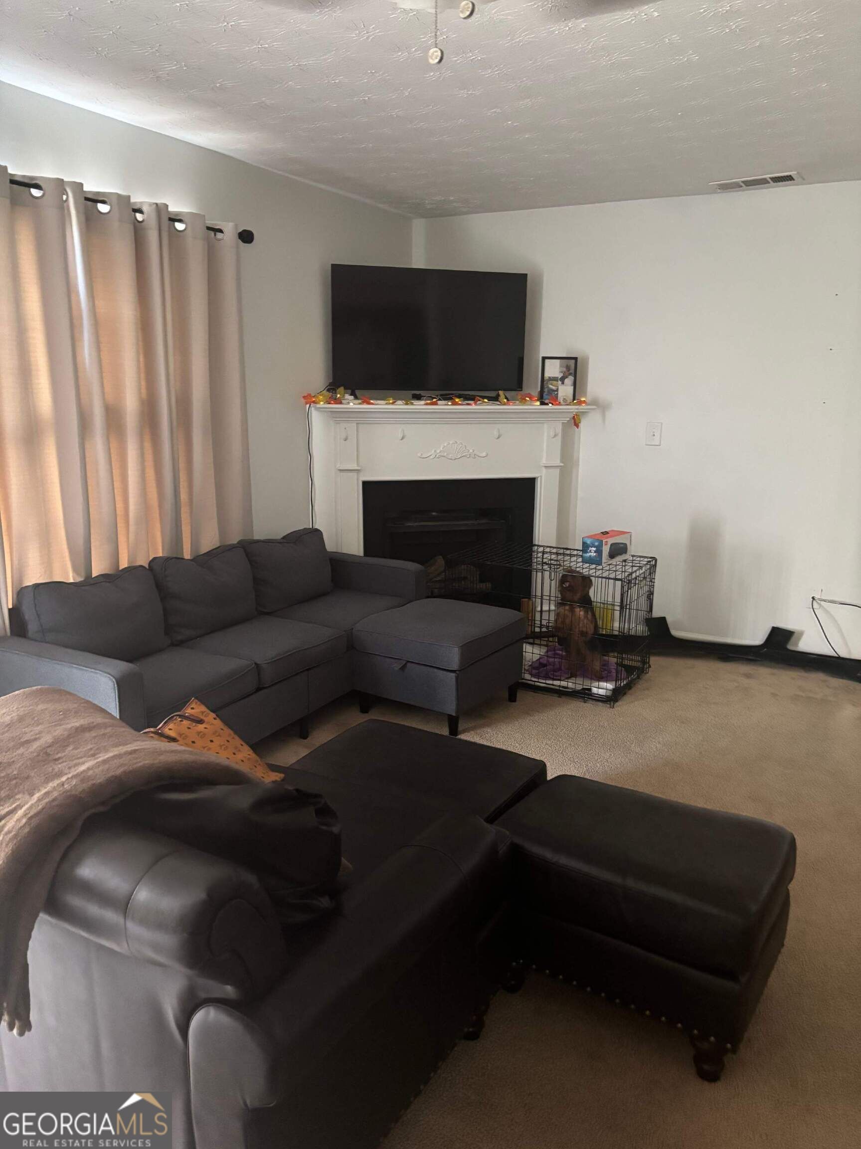 120 Tyler Way Property Photo 4