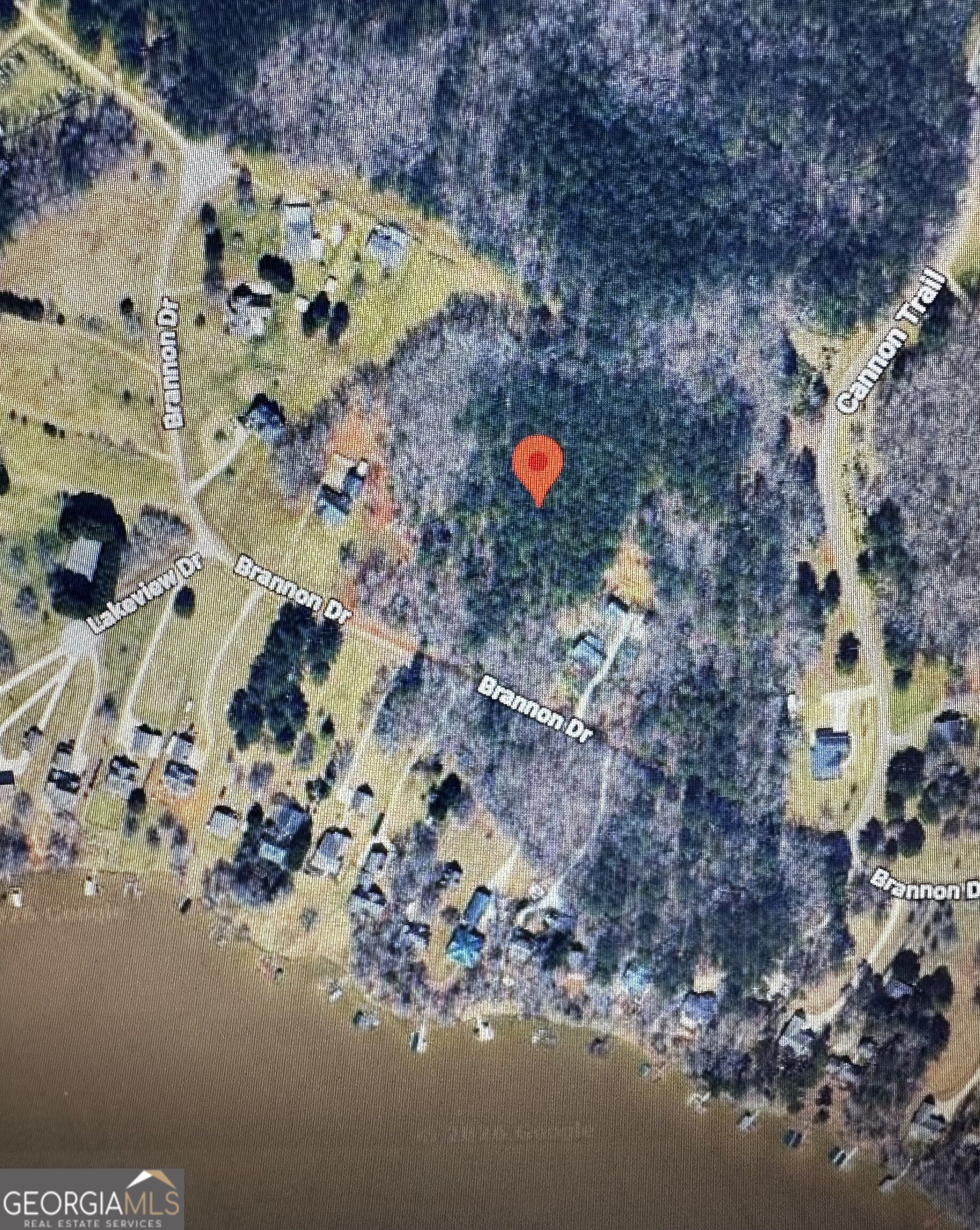 1141 Brannon Drive