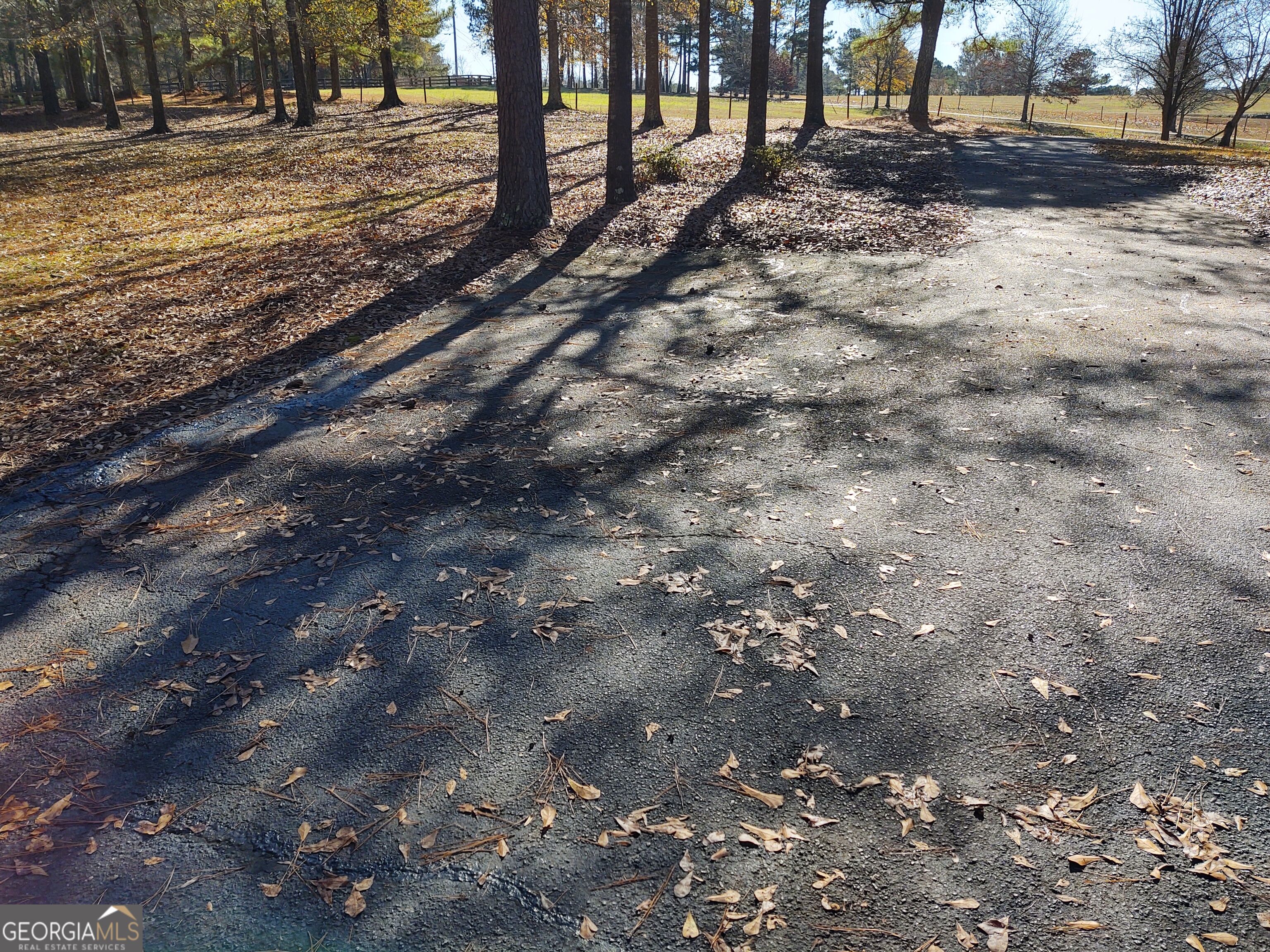 1467 Elders Mill Road Property Photo 17