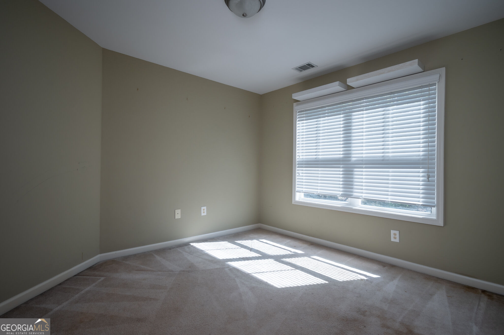 1120 Arlington Place Property Photo 47