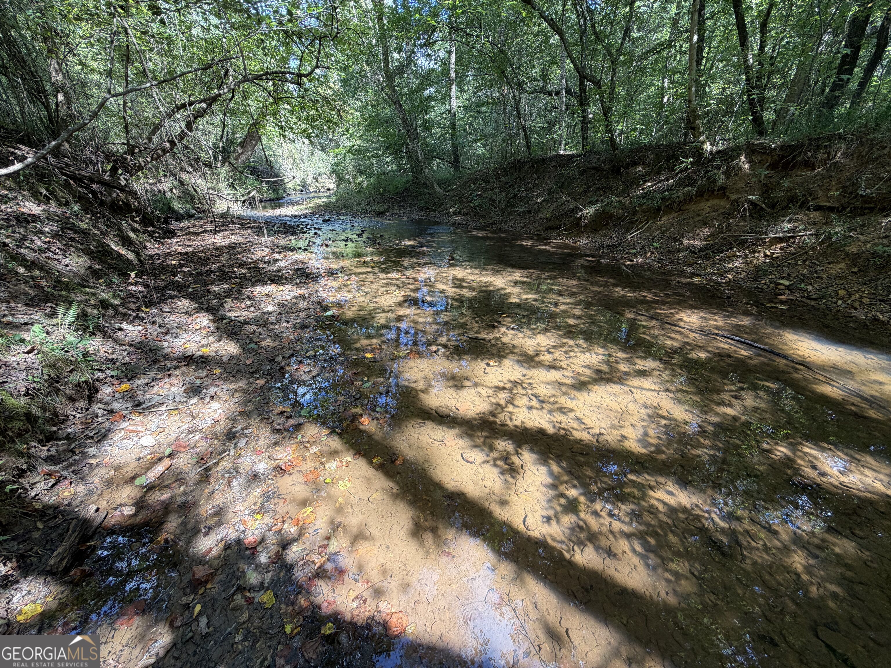 0 Old Tennessee Road # 1 Property Photo 1
