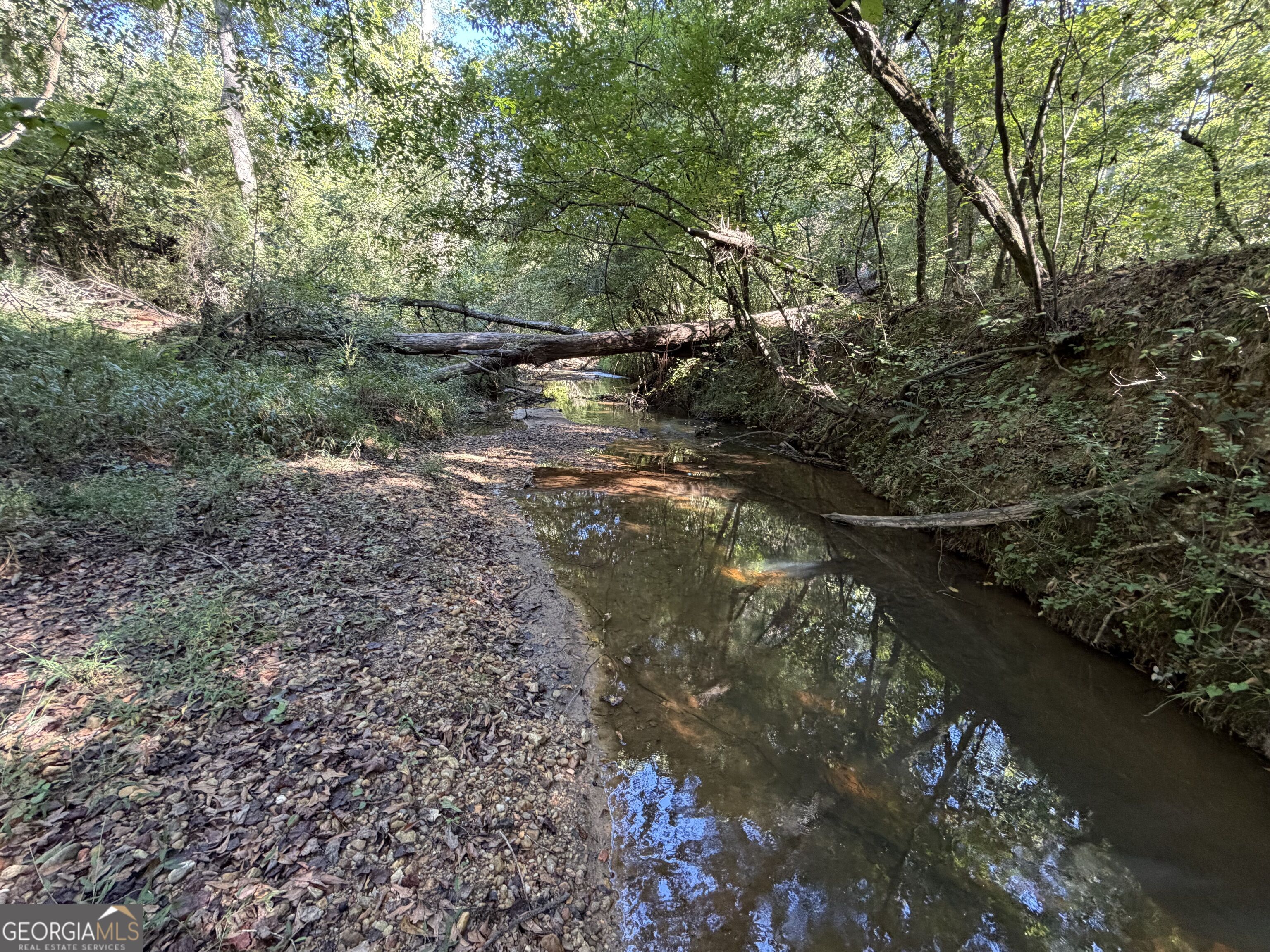 0 Old Tennessee Road # 2 Property Photo 2