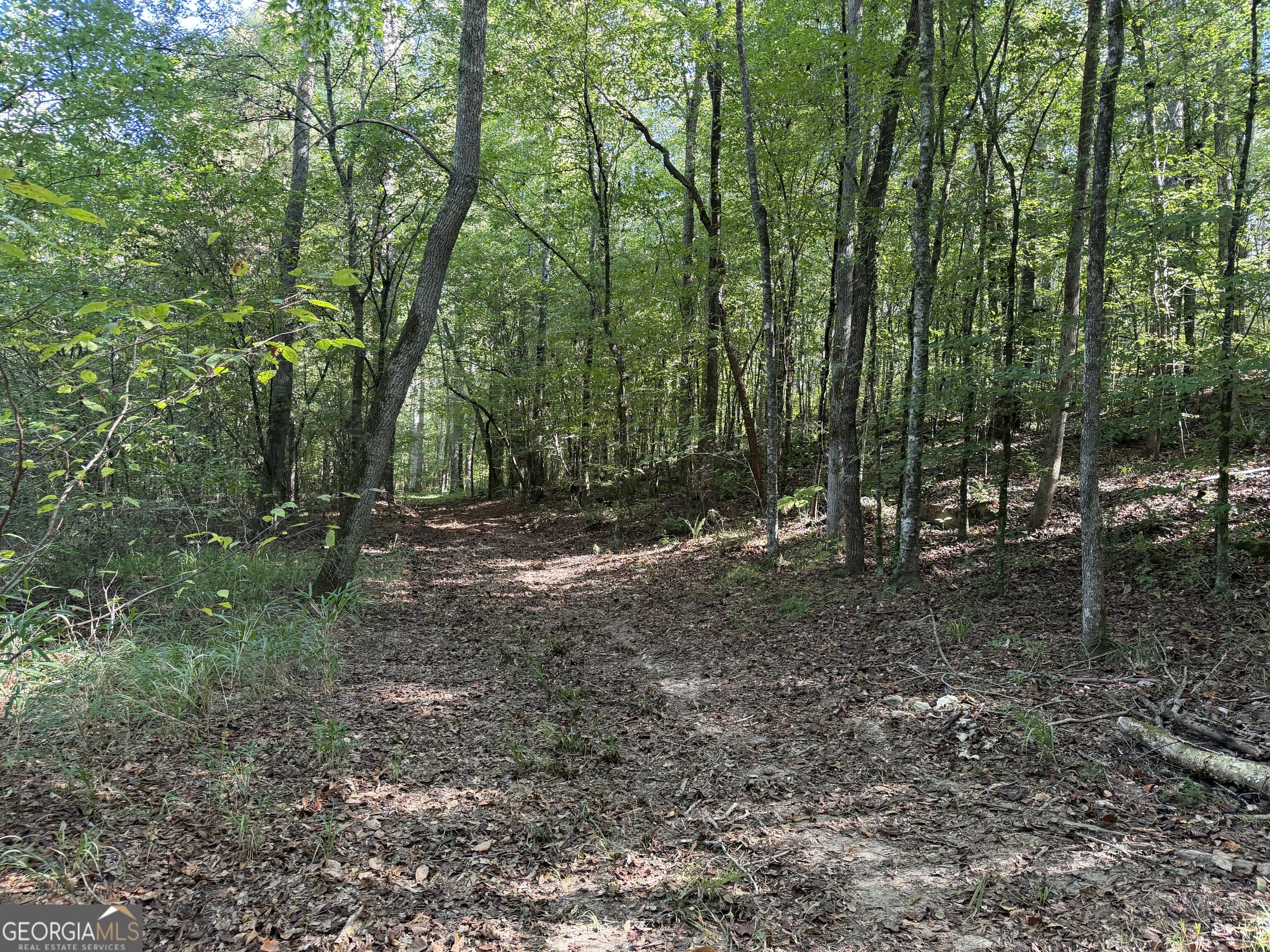 0 Old Tennessee Road # 2 Property Photo 6
