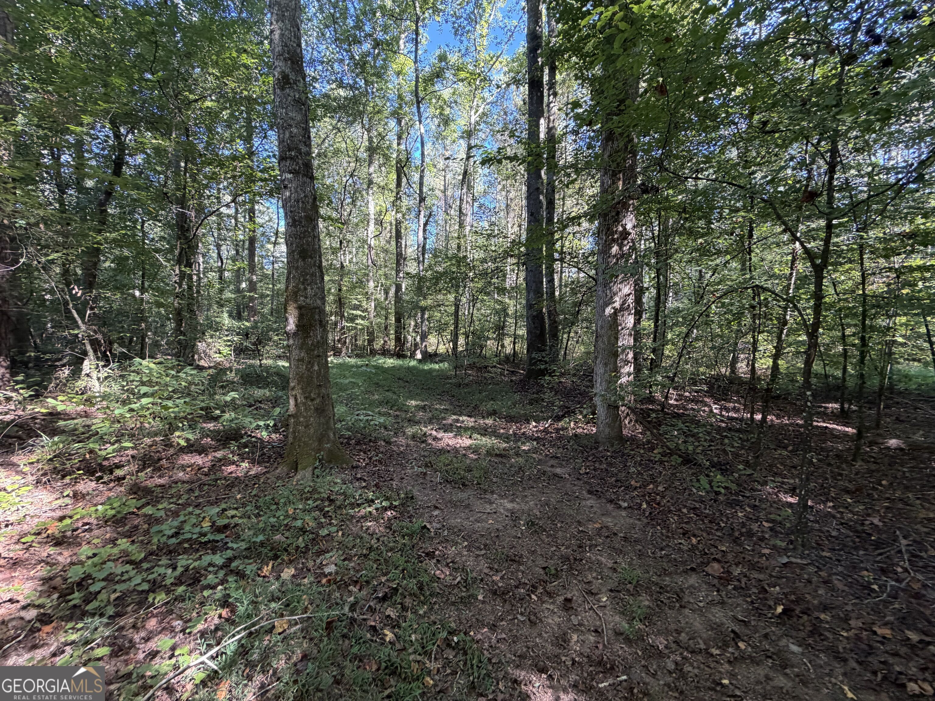 0 Old Tennessee Road # 2 Property Photo 7