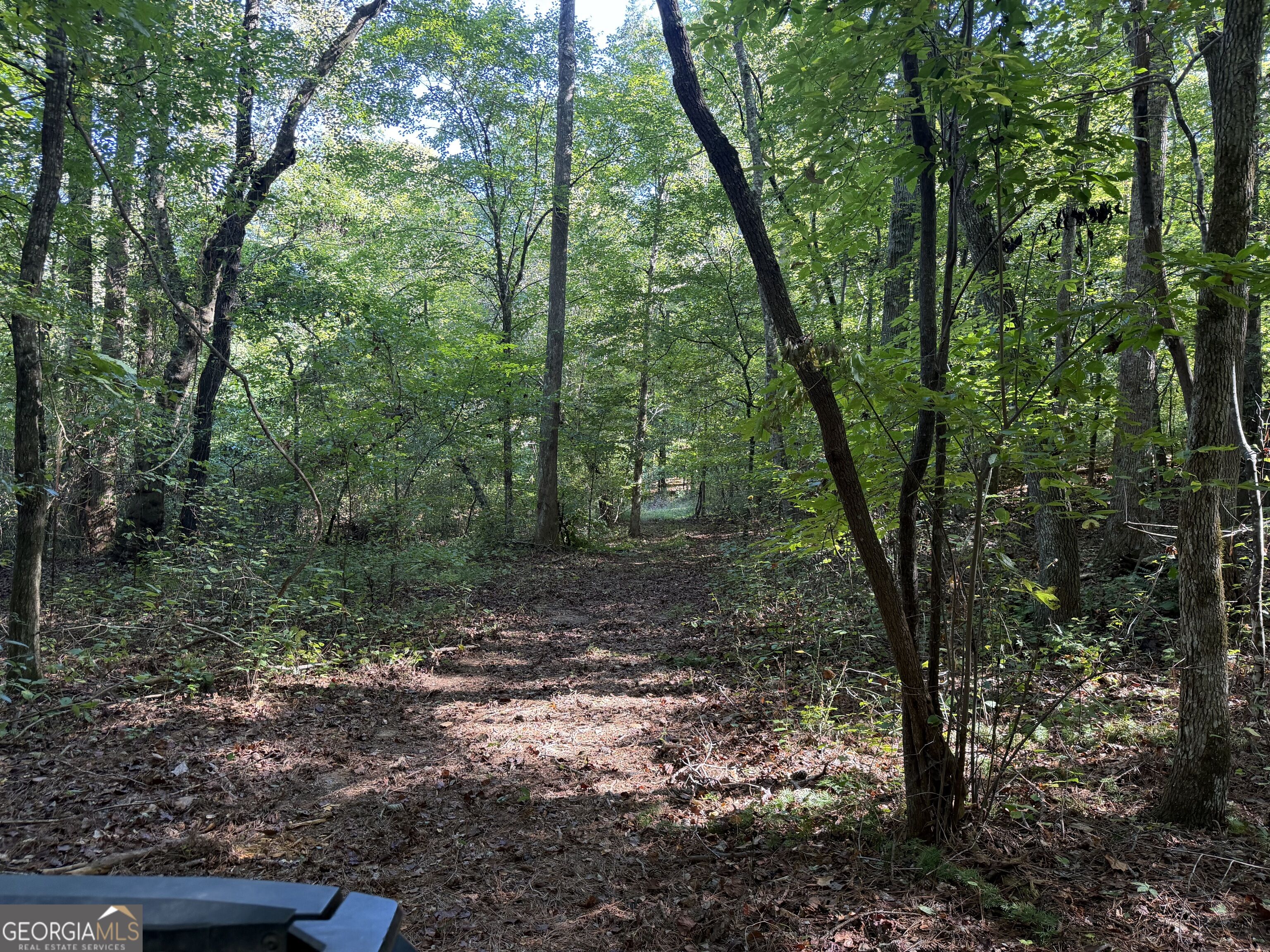0 Old Tennessee Road # 2 Property Photo 9