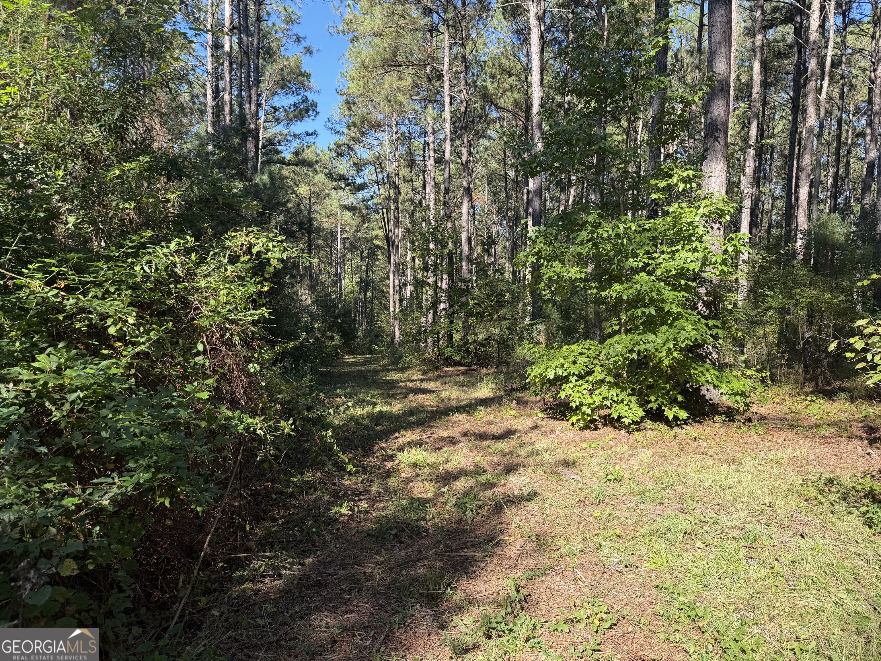 0 Old Tennessee Road # 2 Property Photo 10