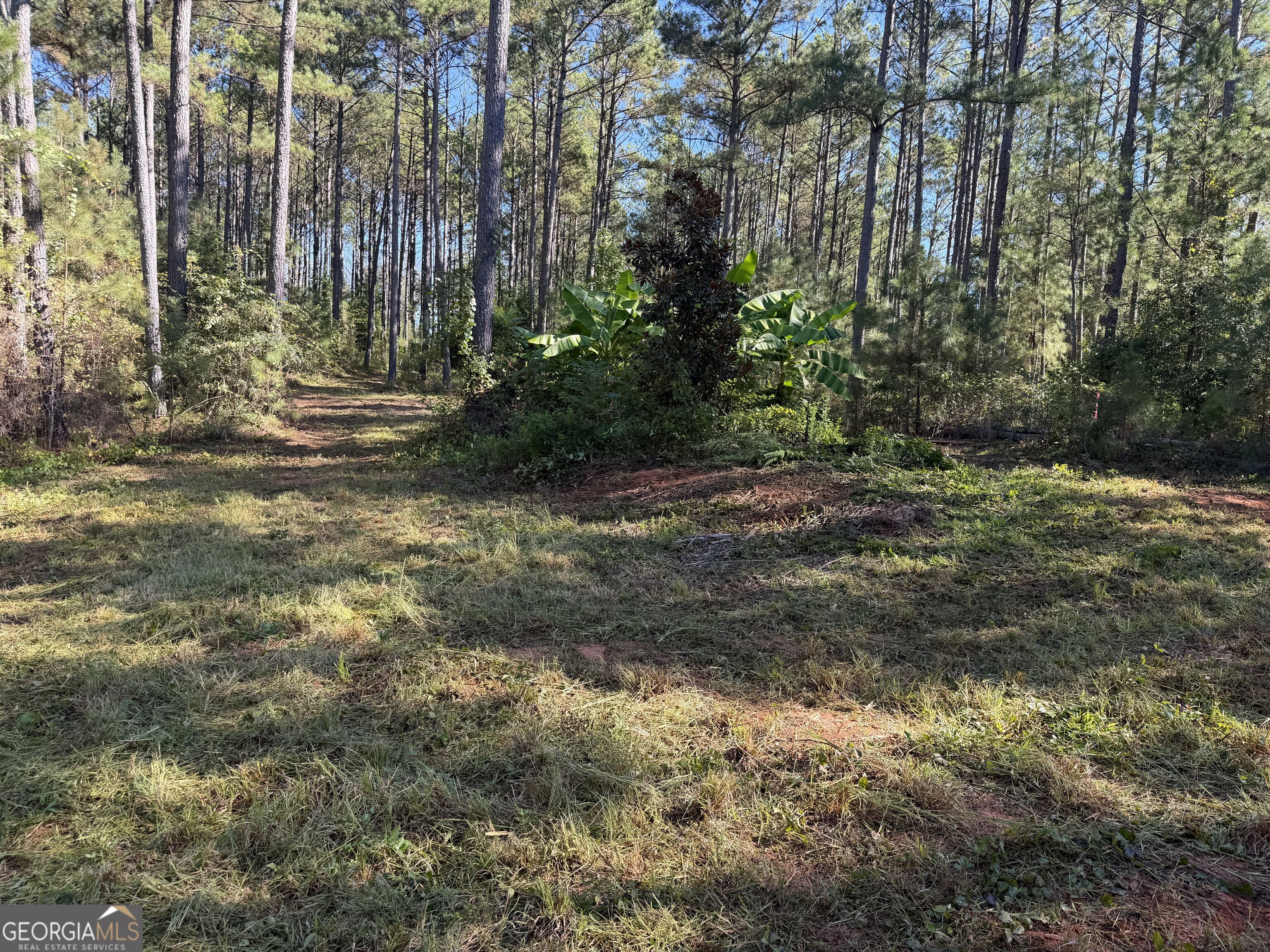 0 Old Tennessee Road # 2 Property Photo 12
